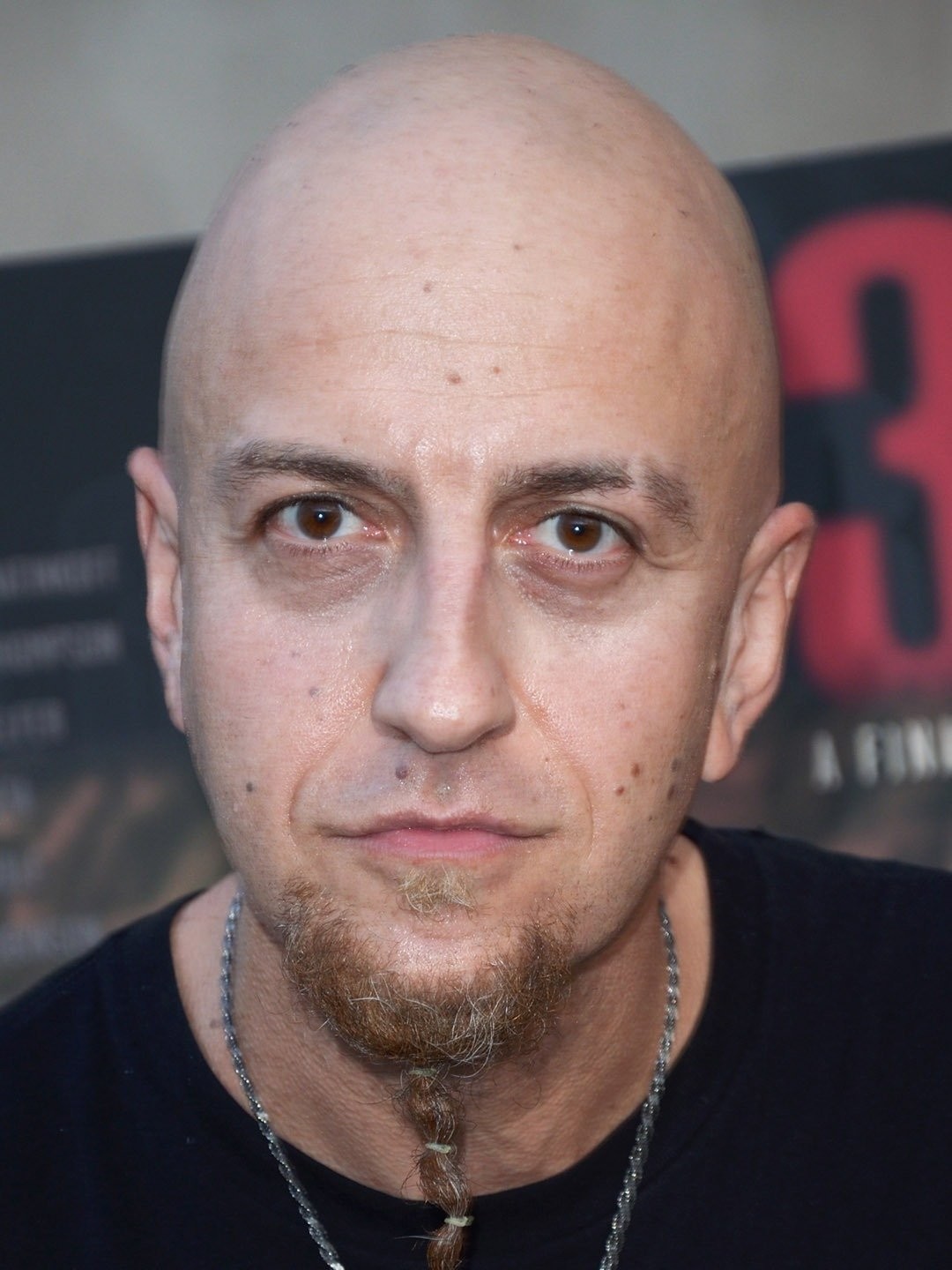 Shavo Odadjian Pictures | Rotten Tomatoes