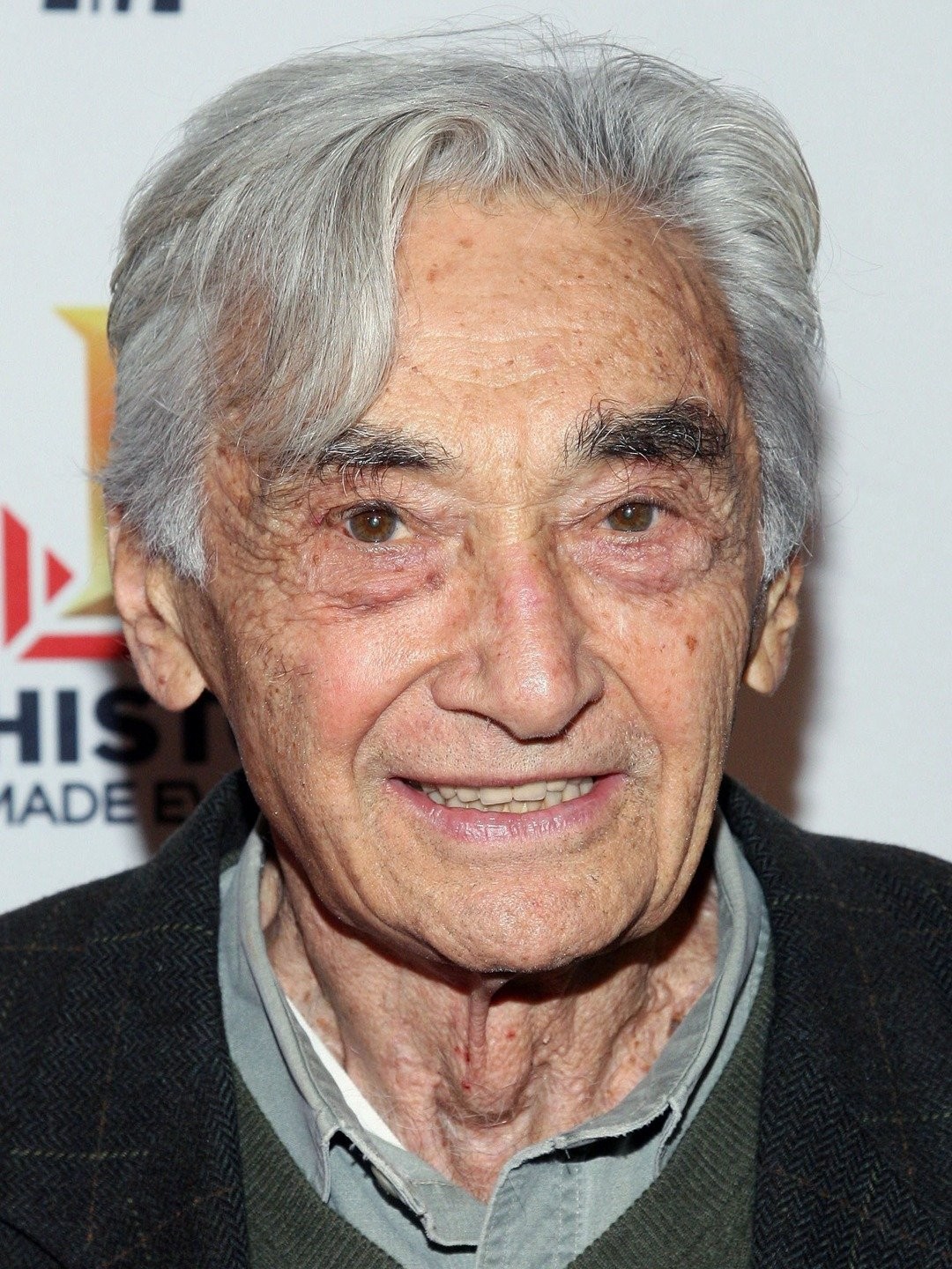 Howard Zinn Pictures Rotten Tomatoes