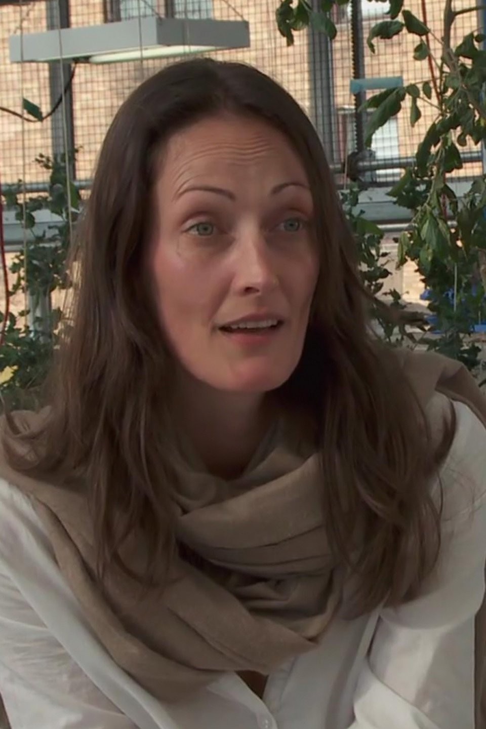 The Greenhouse School (New York) Pictures Rotten Tomatoes