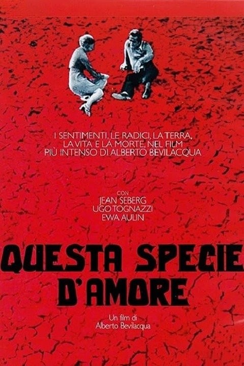 Questa specie d'amore | Rotten Tomatoes