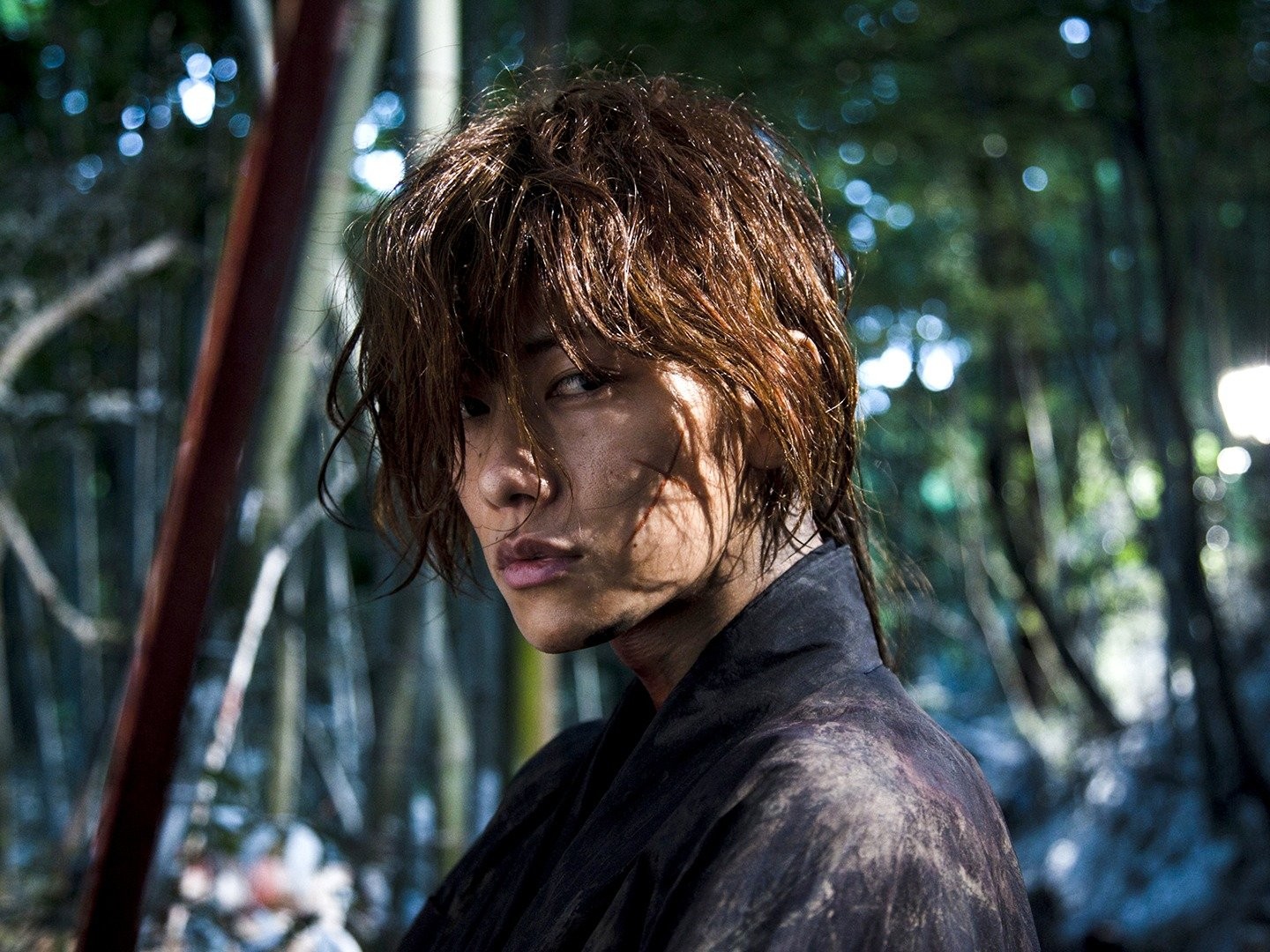 This Little Life of Mine: Movie Blog: Rurouni Kenshin [Samurai X]  Live-action