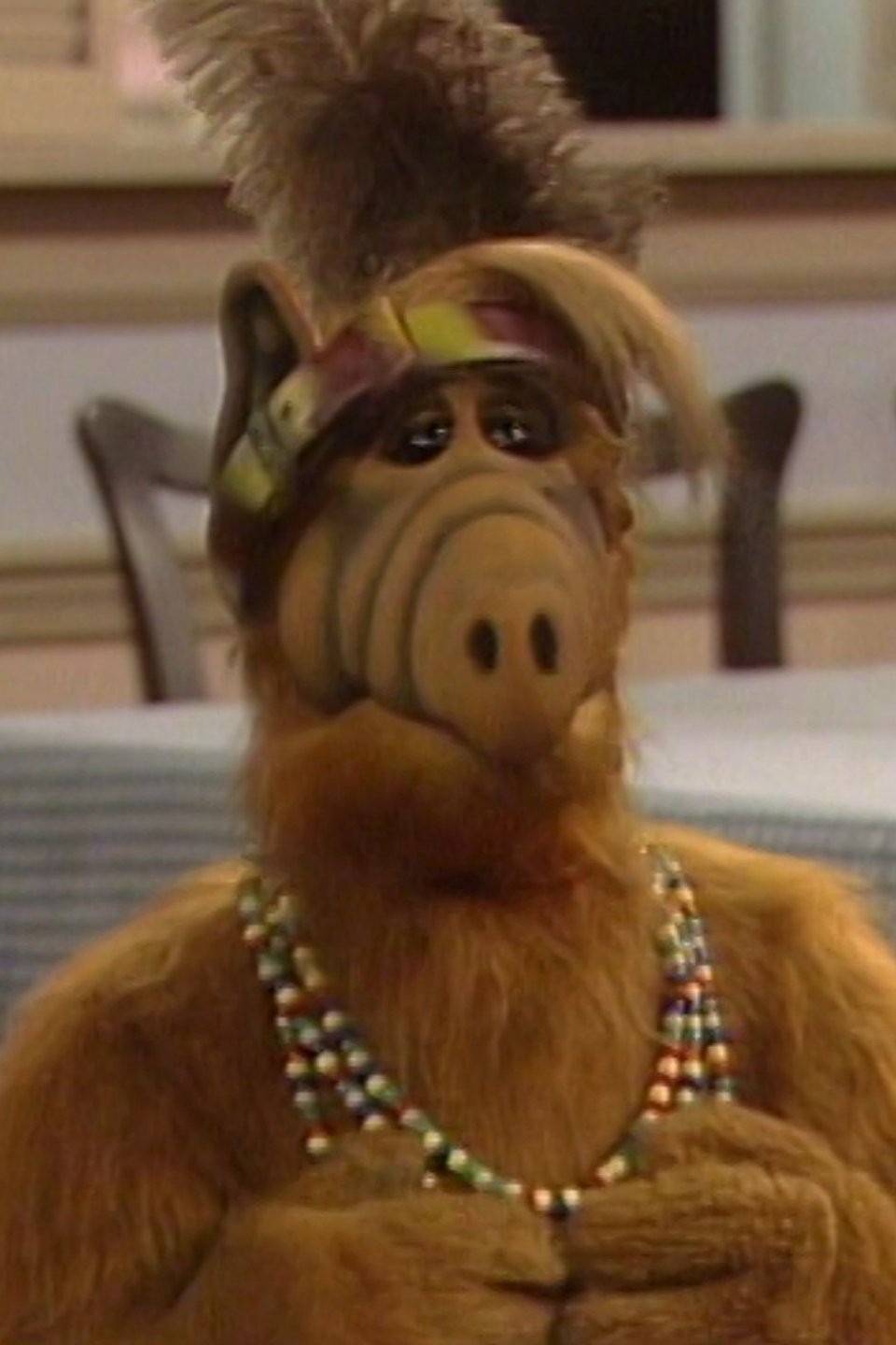 ALF: Season 3, Episode 8 | Rotten Tomatoes