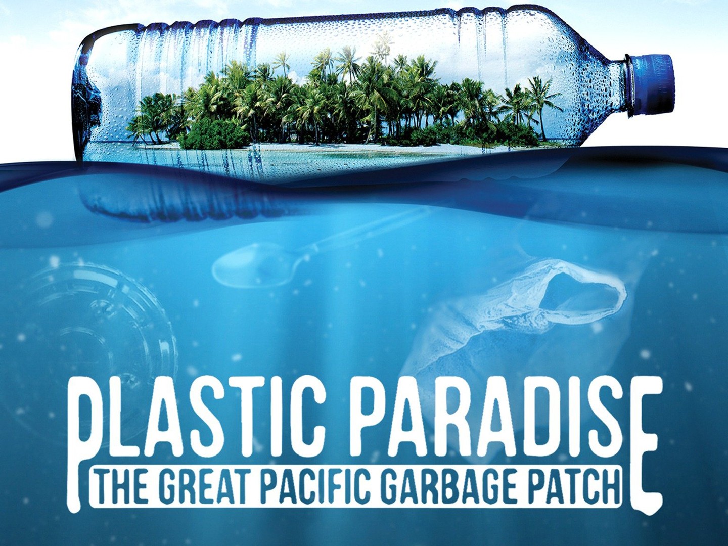 Plastic paradise the great 2025 pacific garbage patch work cited