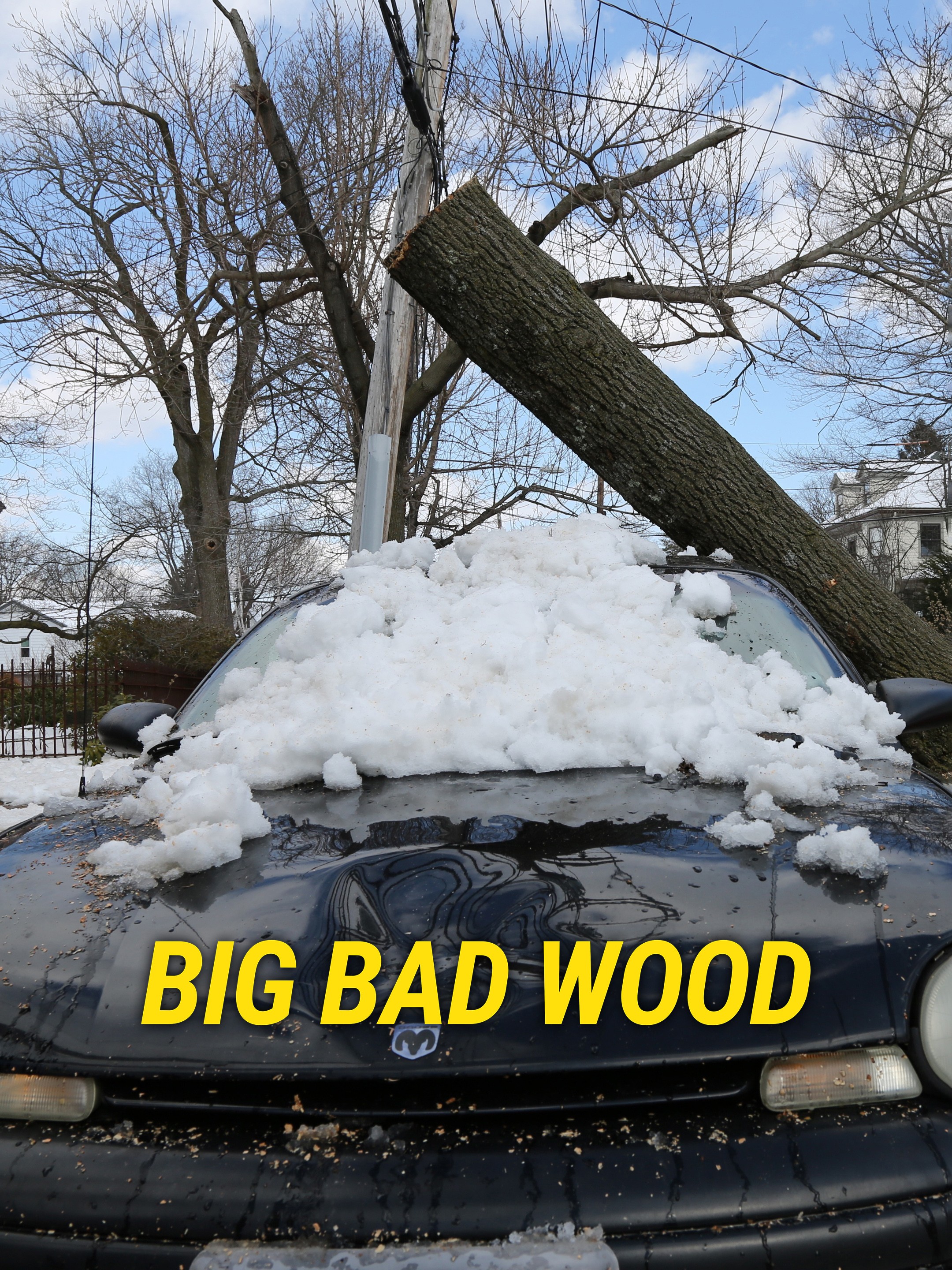 Big Bad Wood | Rotten Tomatoes