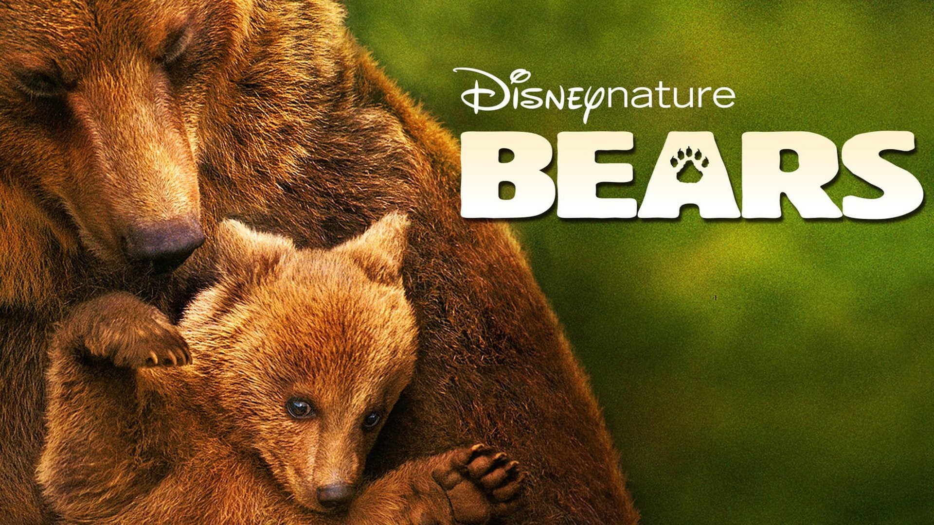 Bears  Disney Movies