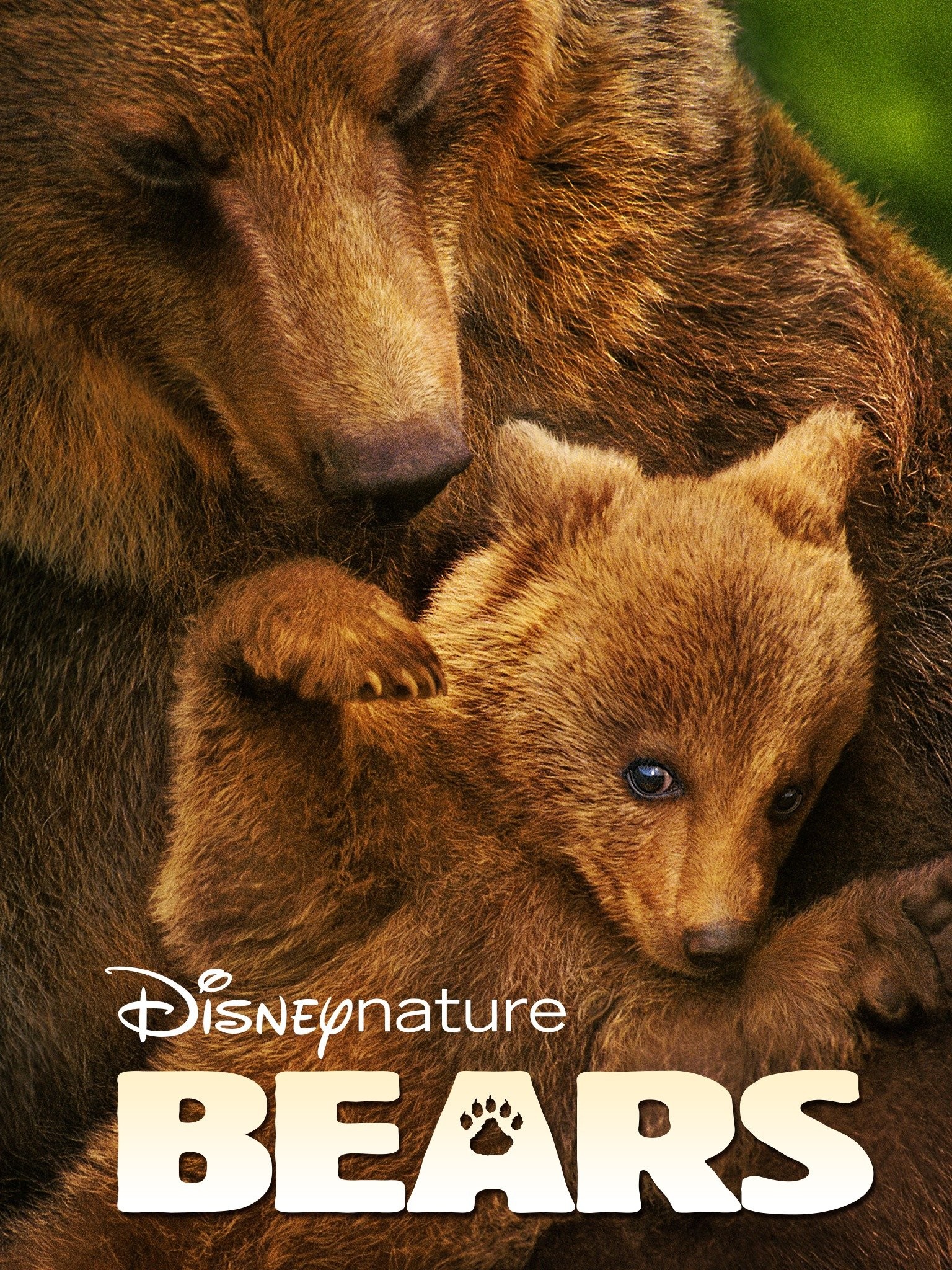 Great Bear Rainforest: Land of the Spirit Bear - Rotten Tomatoes