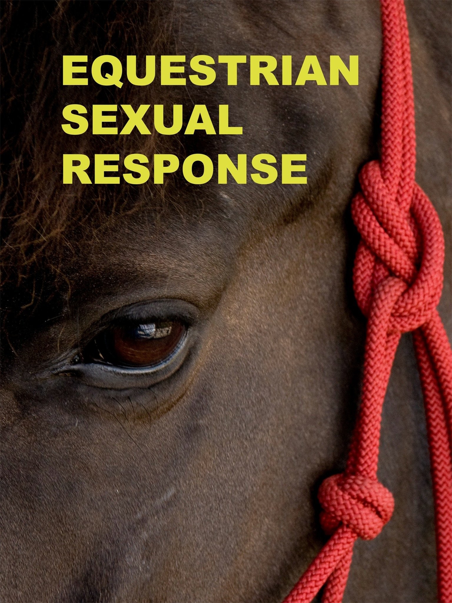 Equestrian Sexual Response Pictures | Rotten Tomatoes