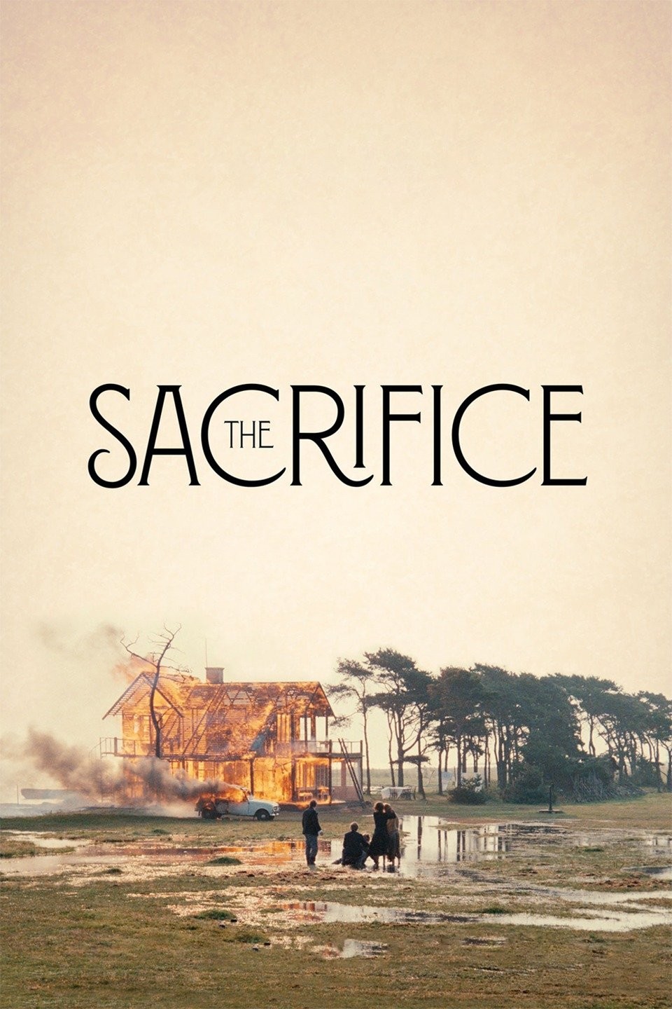 Sacrifice (2016) - IMDb