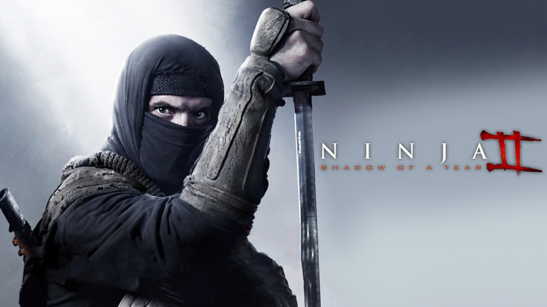 Ninja II: Shadow of a Tear - Rotten Tomatoes