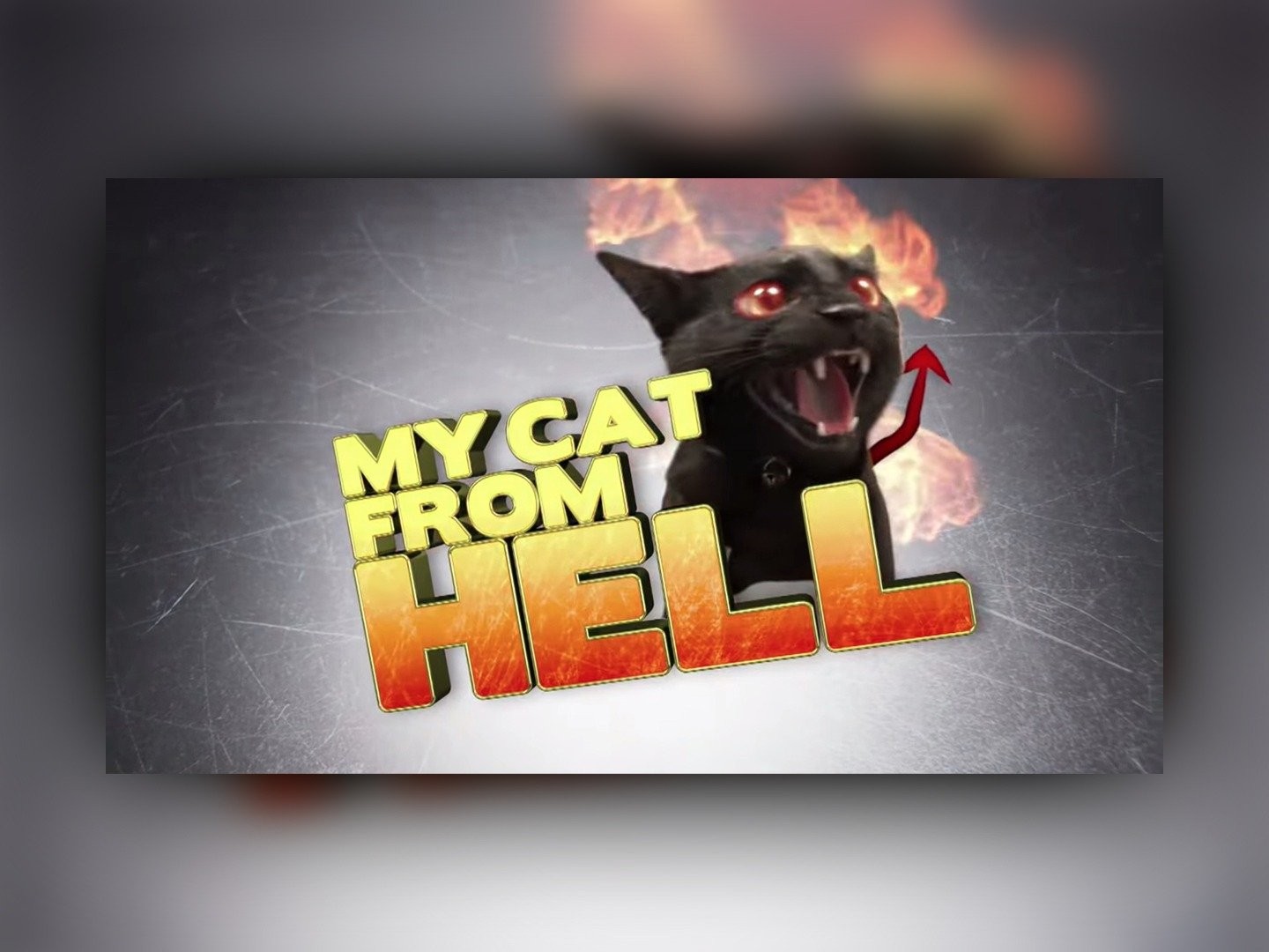 My cat from hell sales season 1