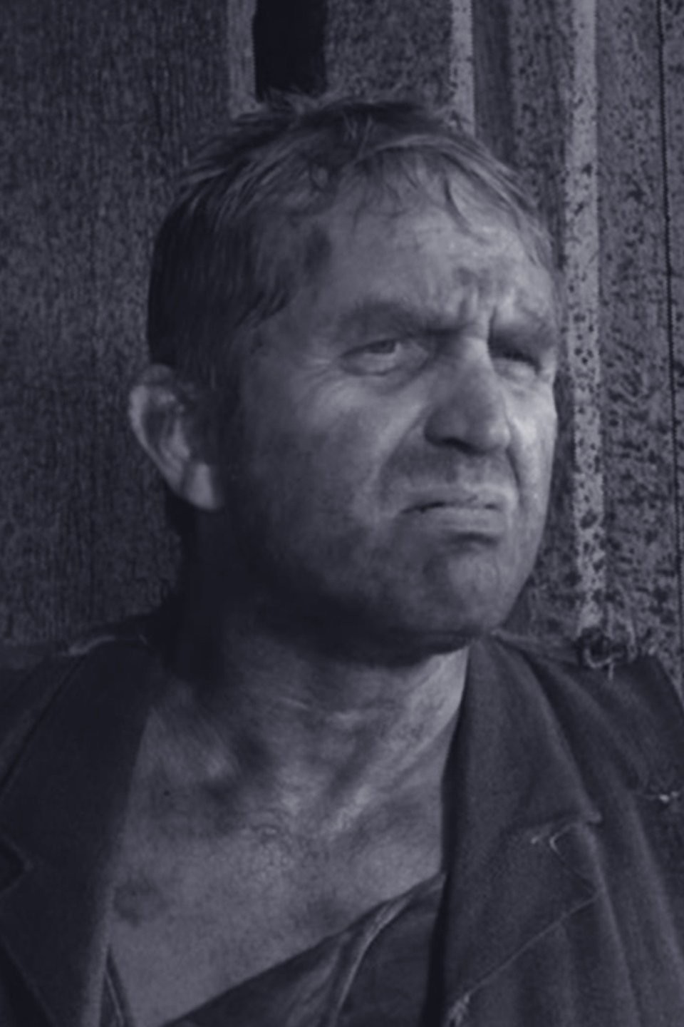 Kitty's Injury Pictures Rotten Tomatoes