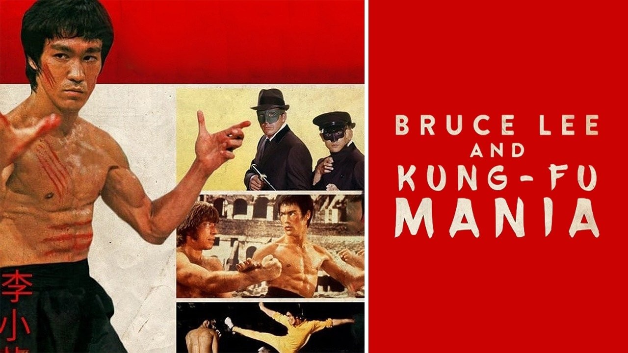 Bruce Lee And Kung Fu Mania Online