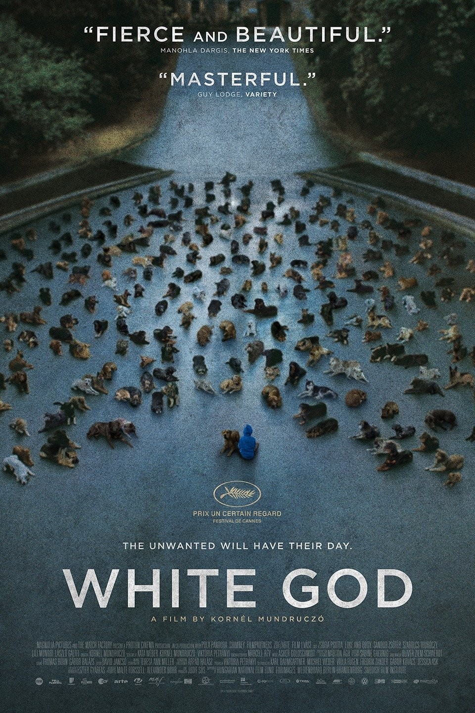 White God | Rotten Tomatoes