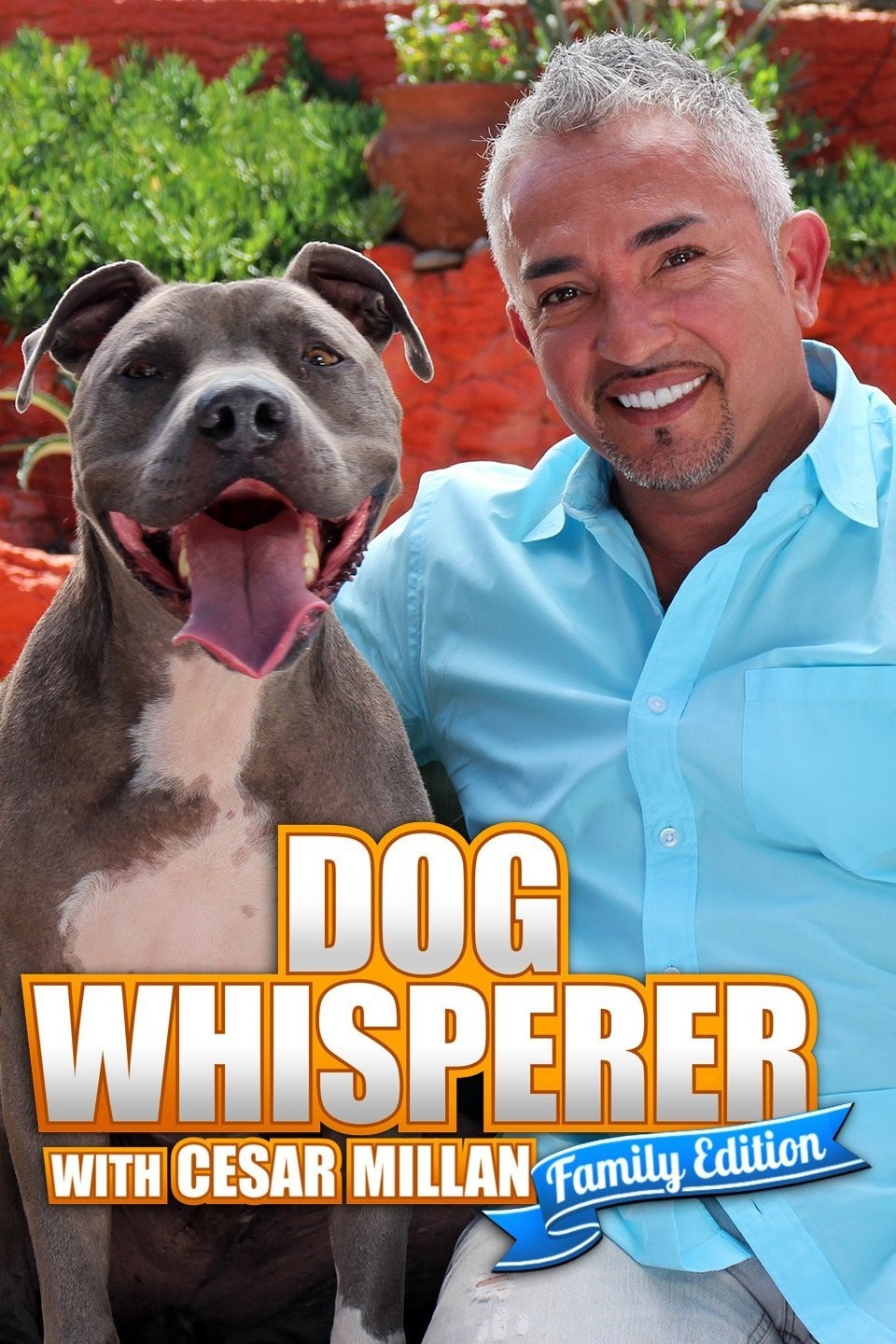 Dog Whisperer With Cesar Millan: Family Edition Rotten Tomatoes