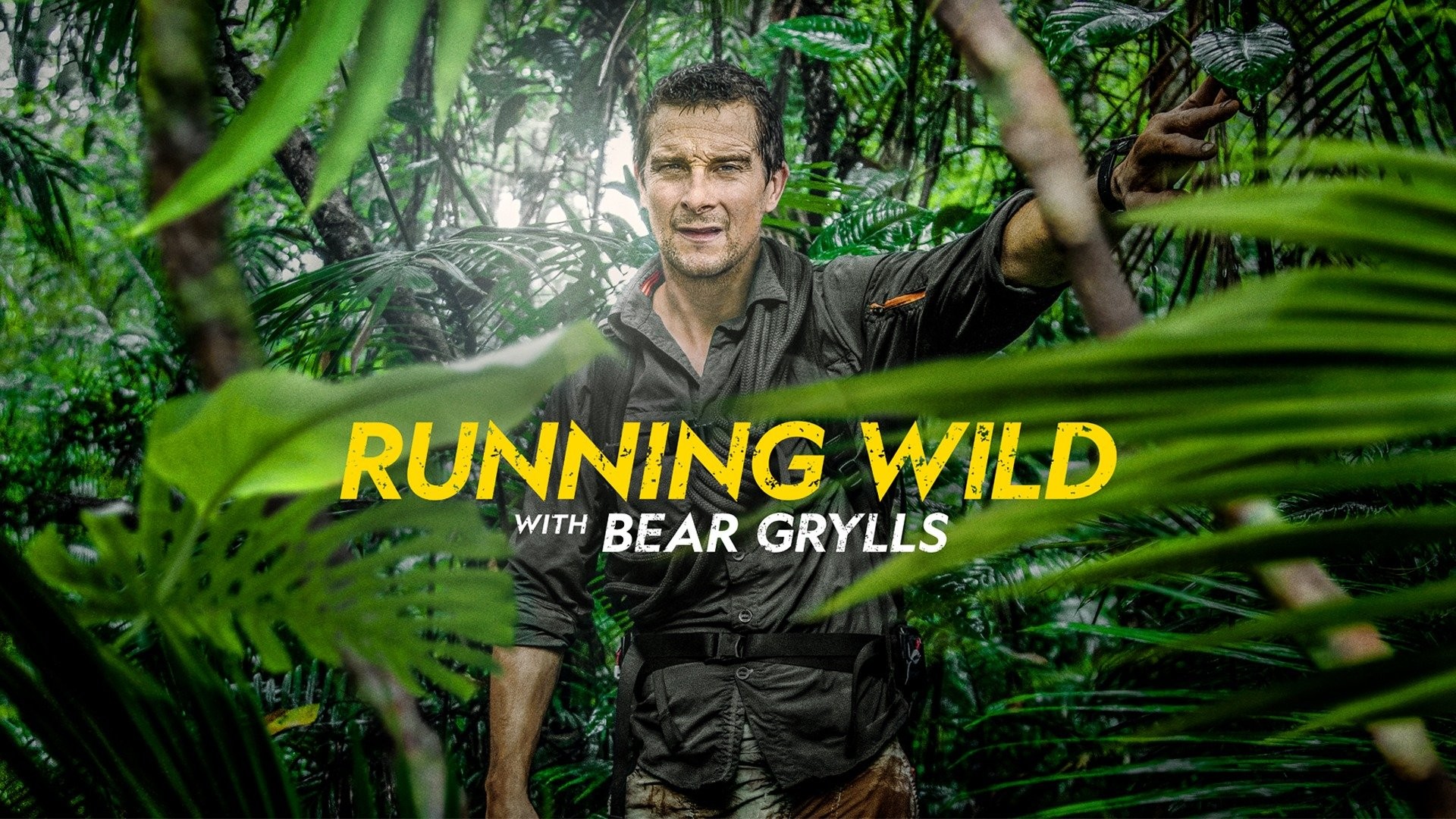 Bear Grylls - Rotten Tomatoes