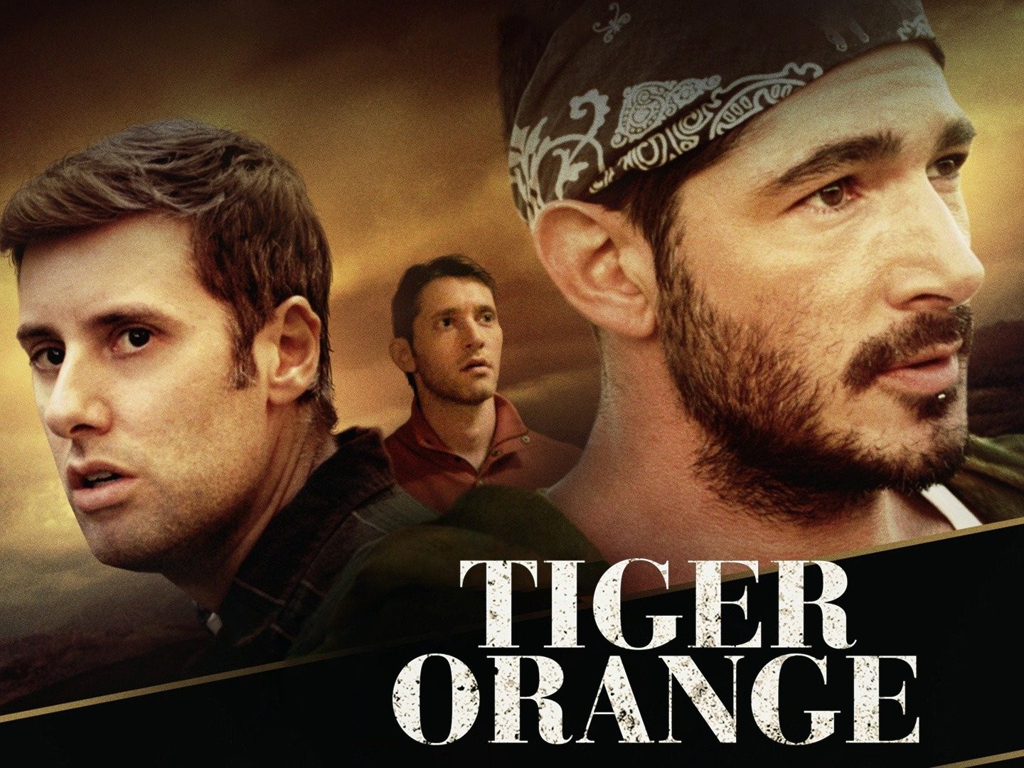 Tiger Orange  Rotten Tomatoes