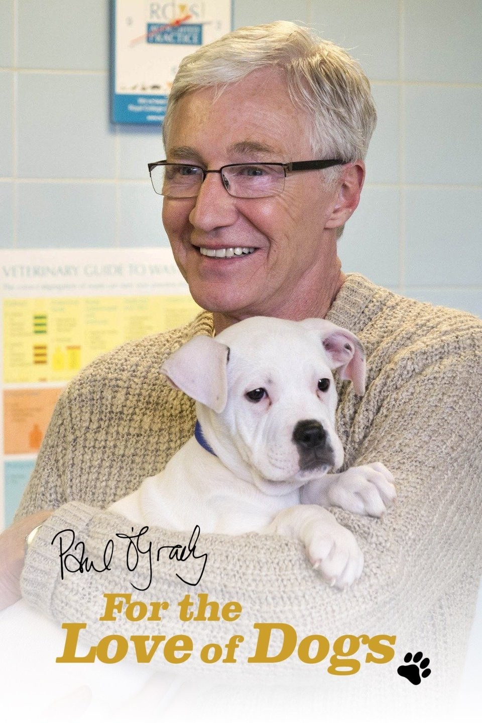 Paul O'Grady: For the Love of Dogs Season 3 | Rotten Tomatoes - Paul Ogrady For The Love Of Dogs 2021