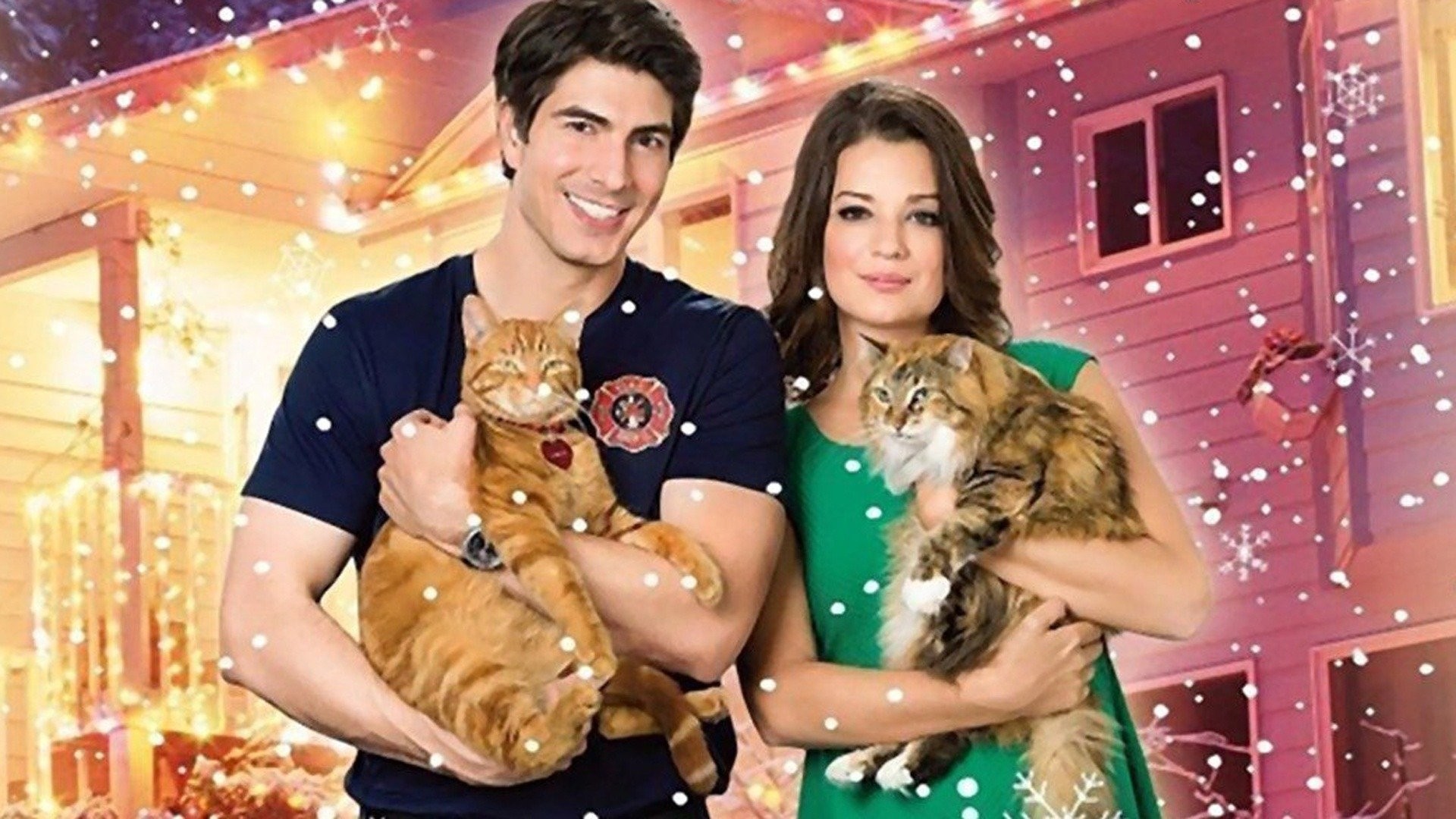 Nine lives of 2025 christmas hallmark movie