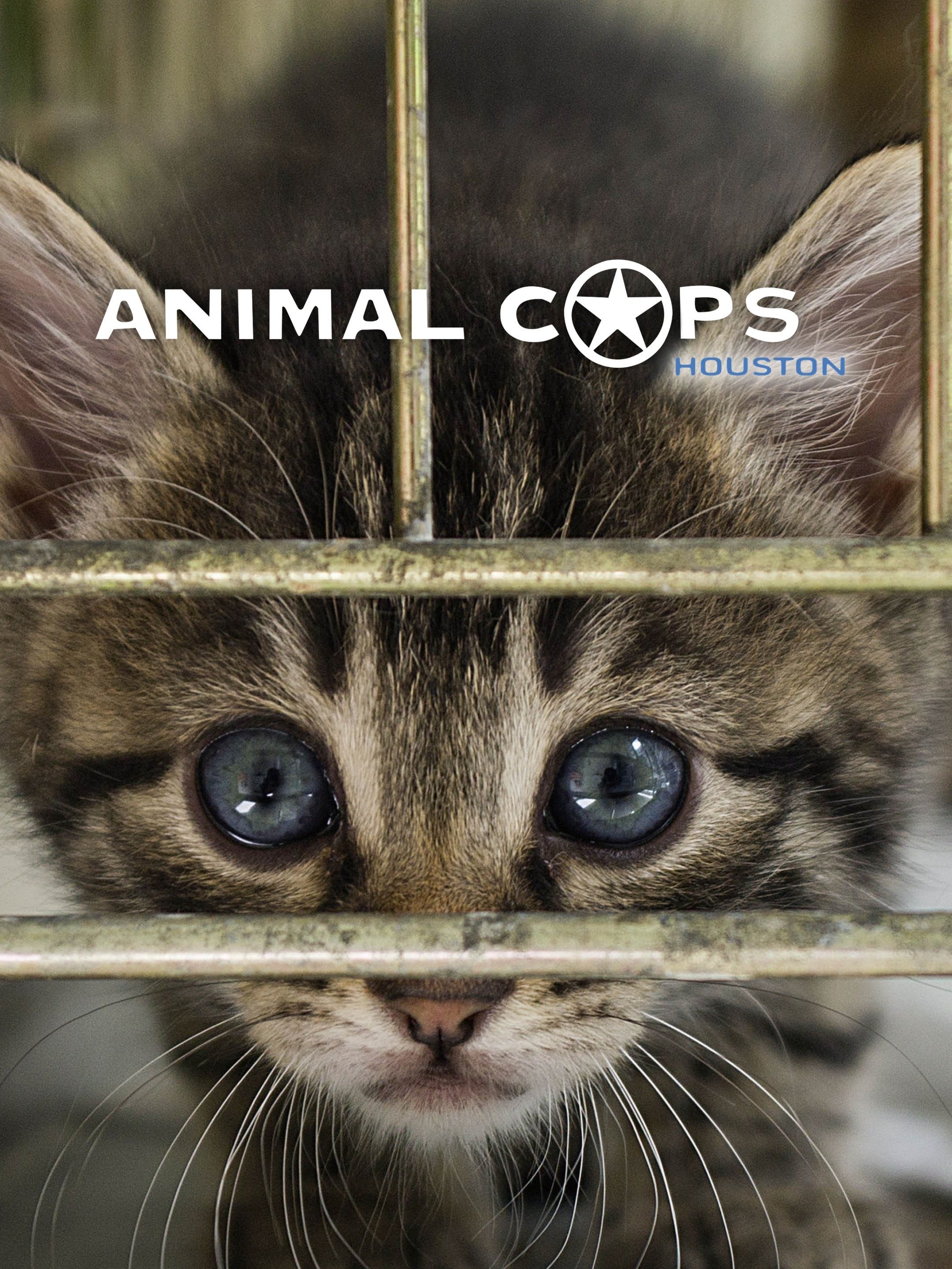 Animal Cops Houston Season 18 Rotten Tomatoes