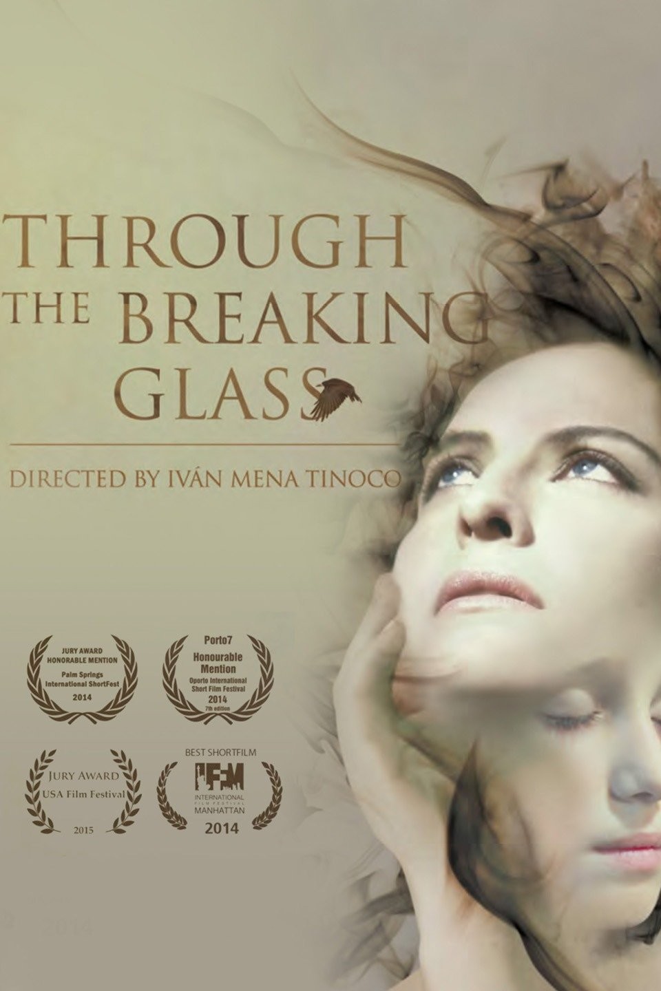 Through the Breaking Glass Rotten Tomatoes