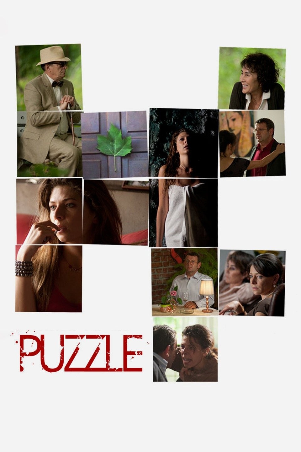 Puzzle Rotten Tomatoes