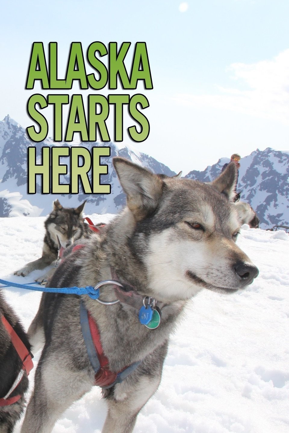 Alaska Starts Here Pictures Rotten Tomatoes