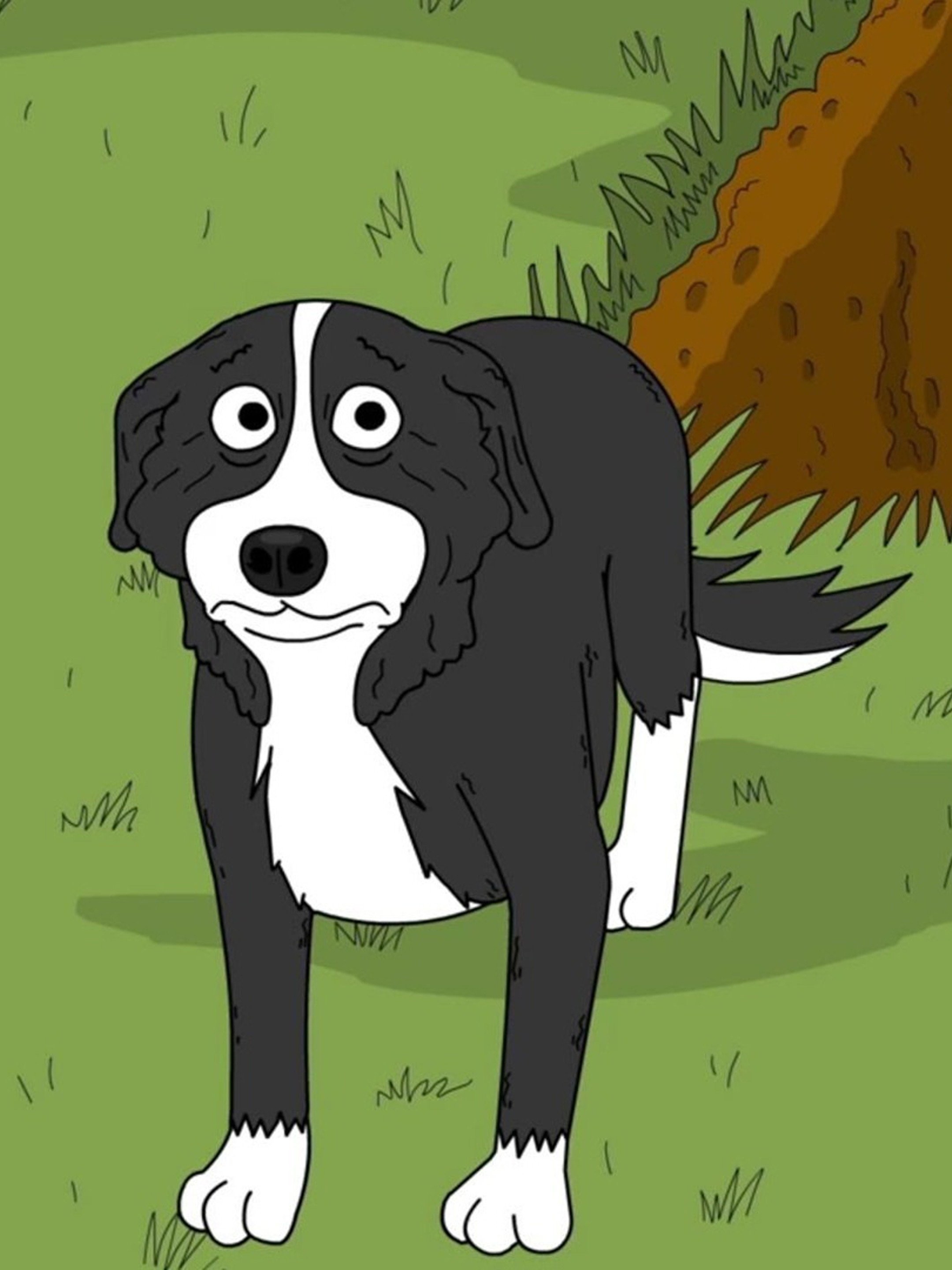 Mr Pickles 💀 : r/BorderCollie