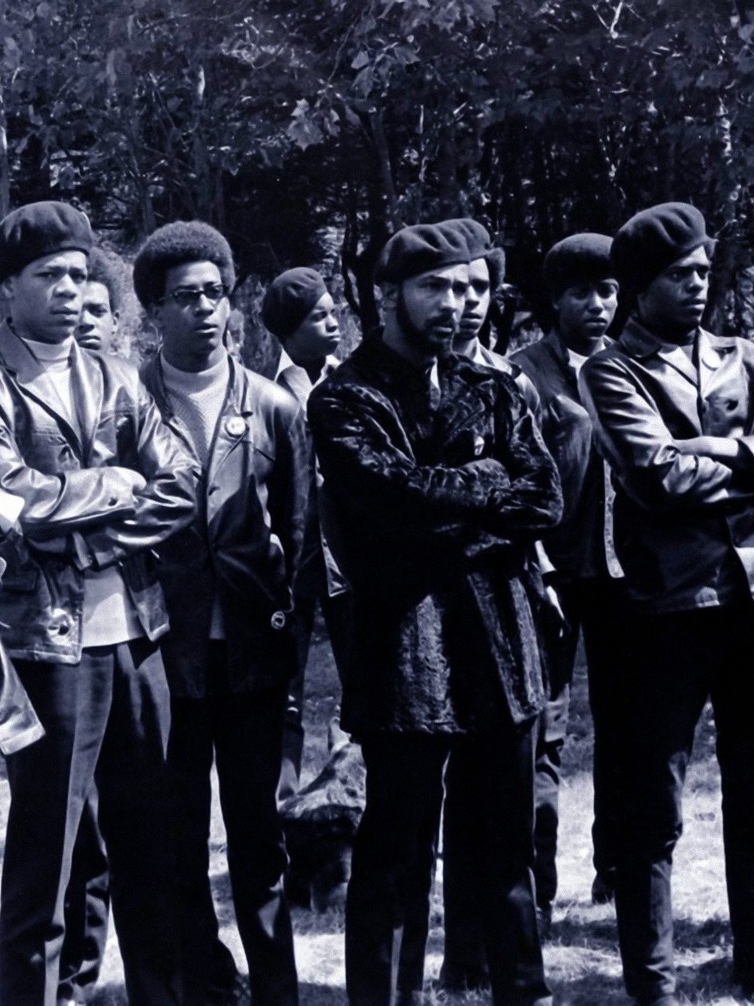 The Black Panthers: Vanguard of the Revolution