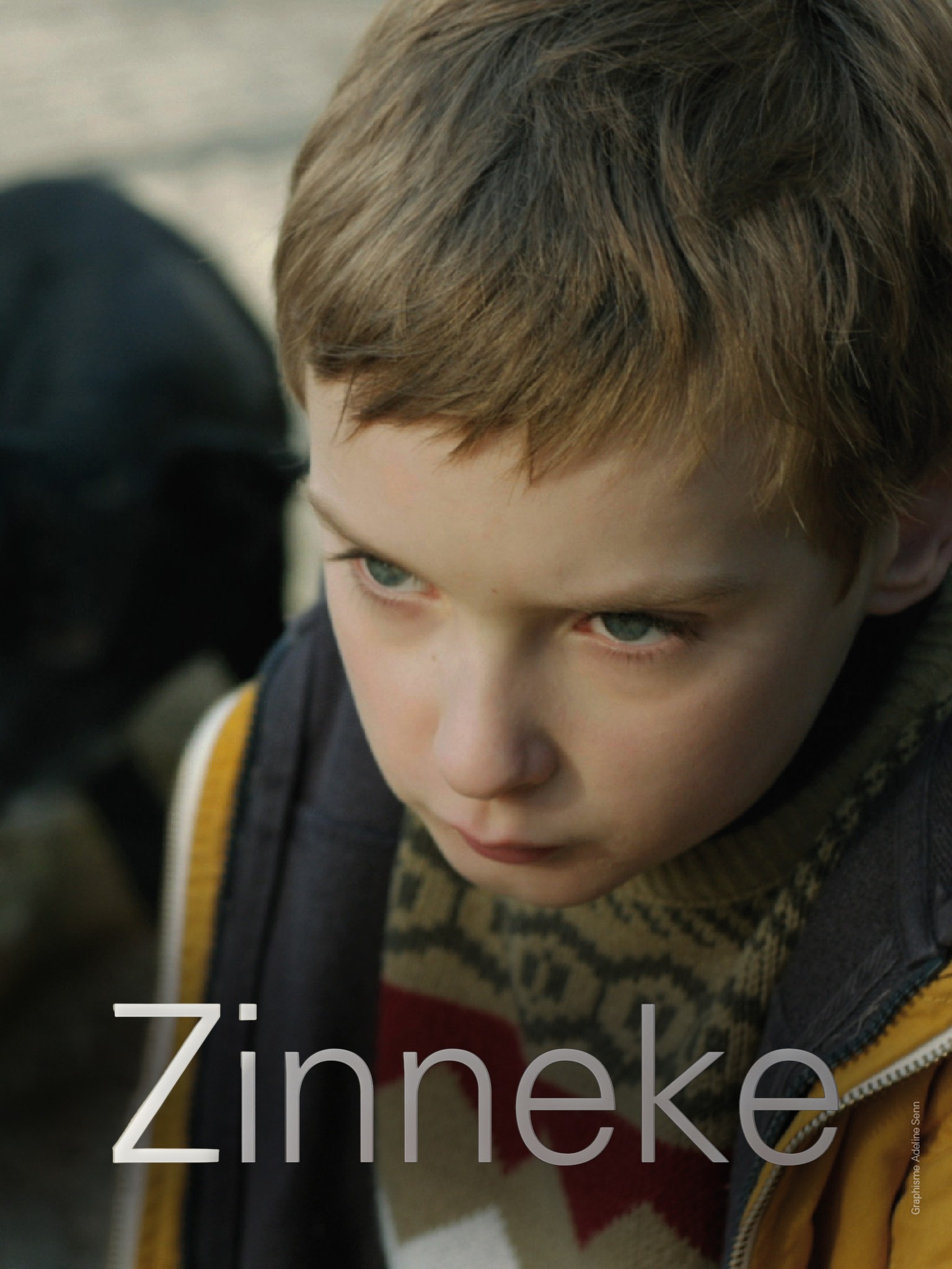Zinneke Pictures Rotten Tomatoes