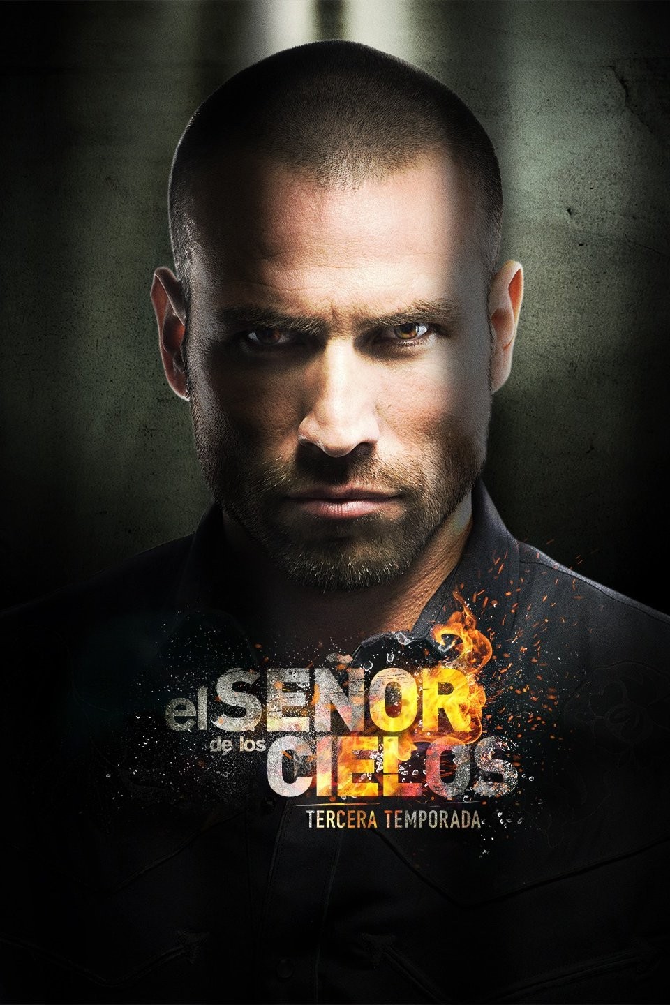 El señor de los cielos