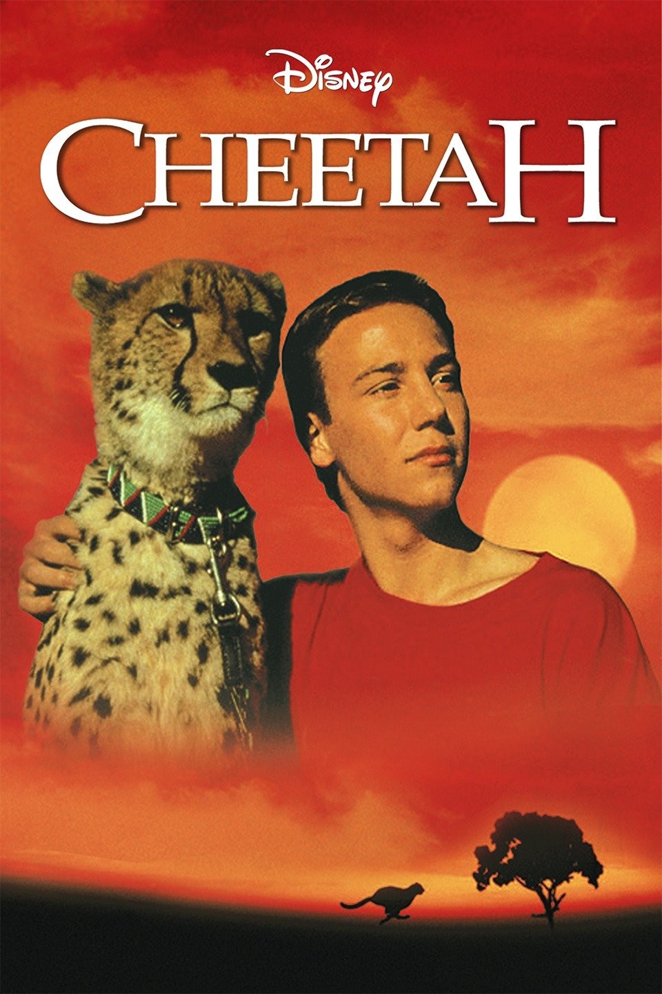 Cheetah review shop