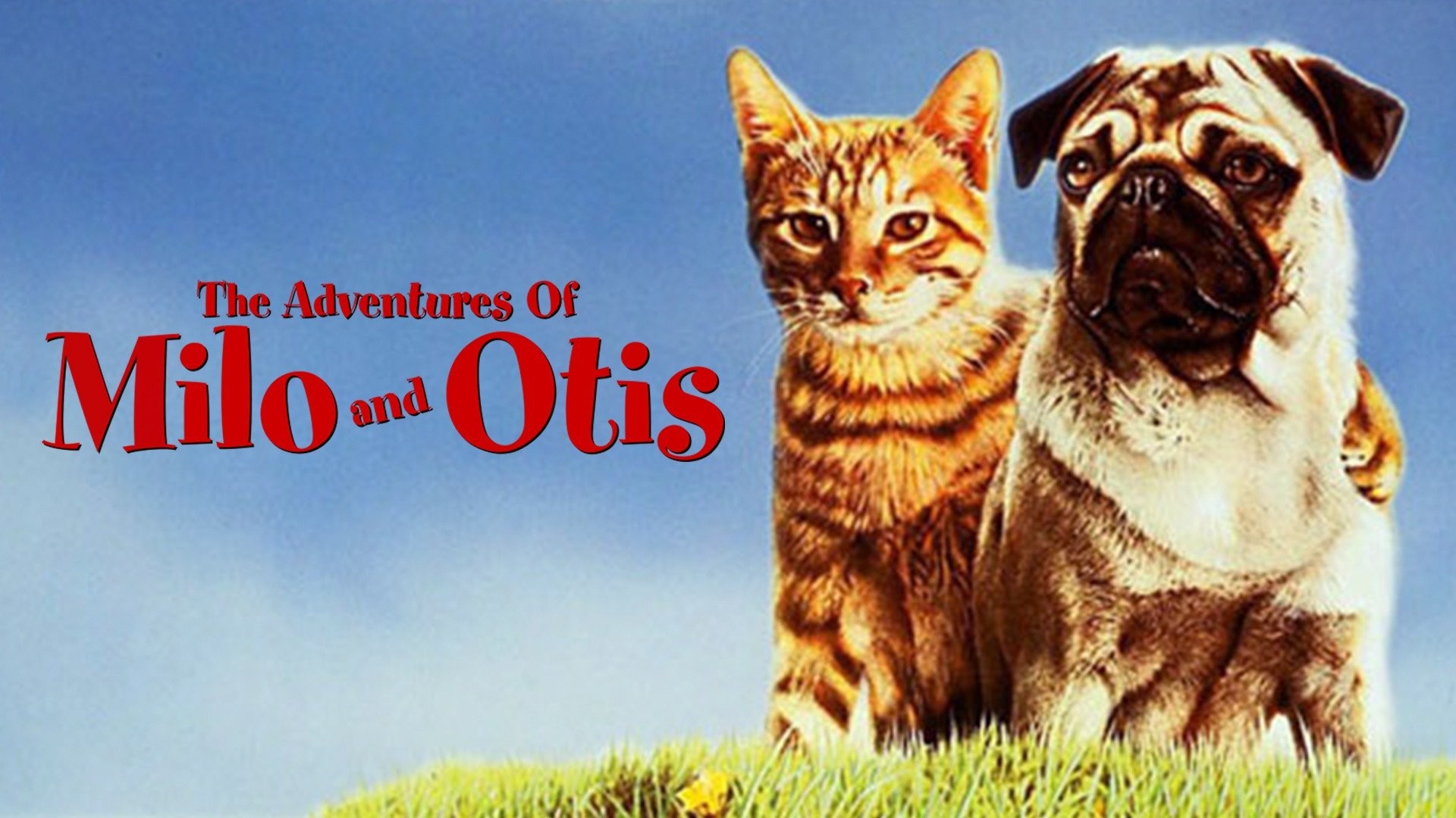 The Adventures of Milo and Otis Rotten Tomatoes