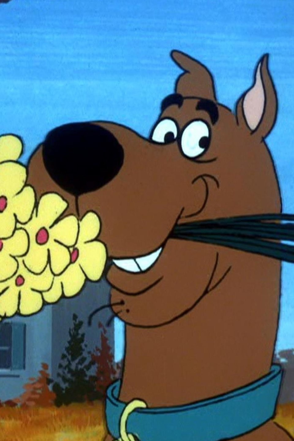 Decoy for a Dognapper Pictures Rotten Tomatoes