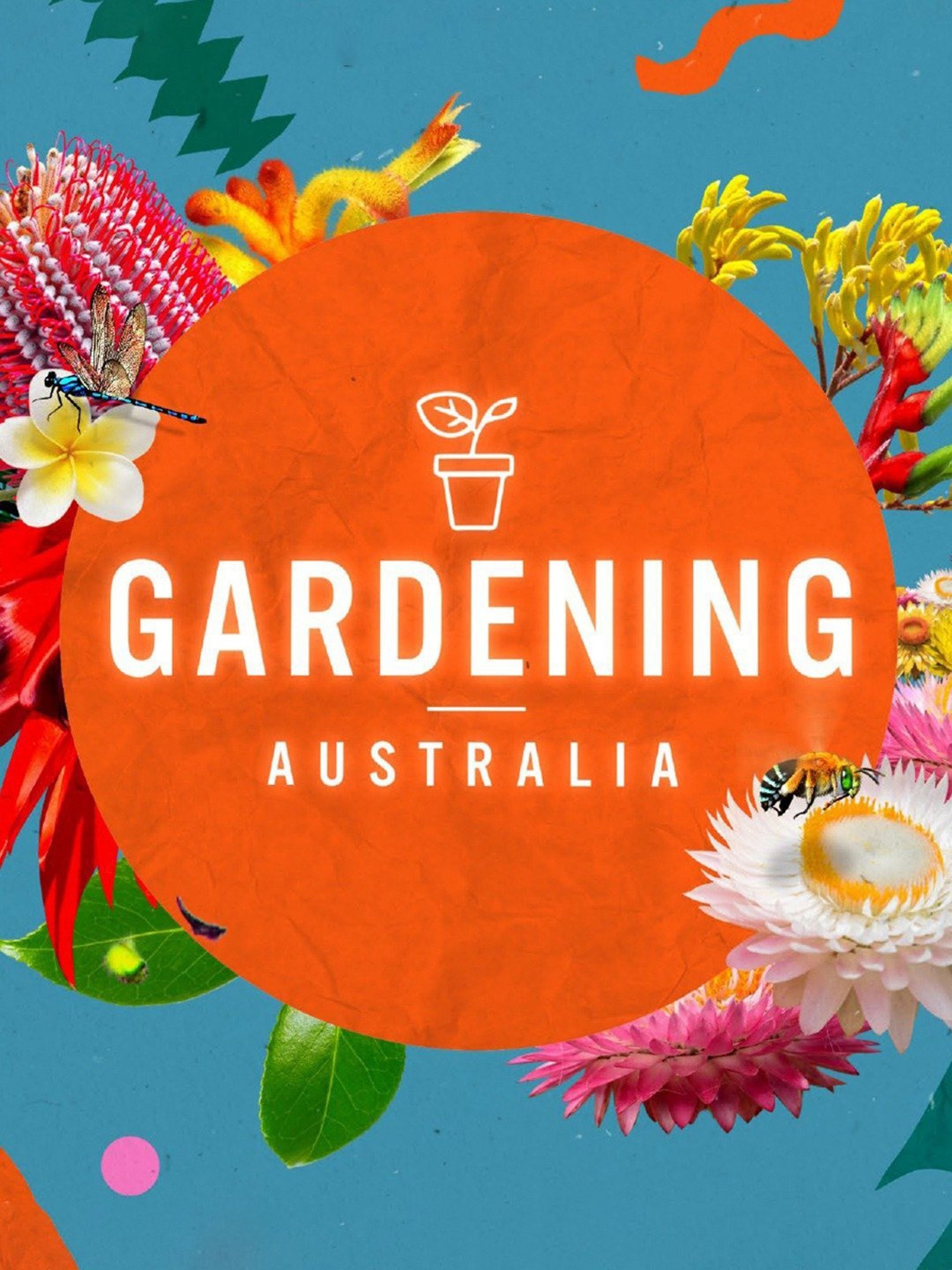 Gardening australia deals