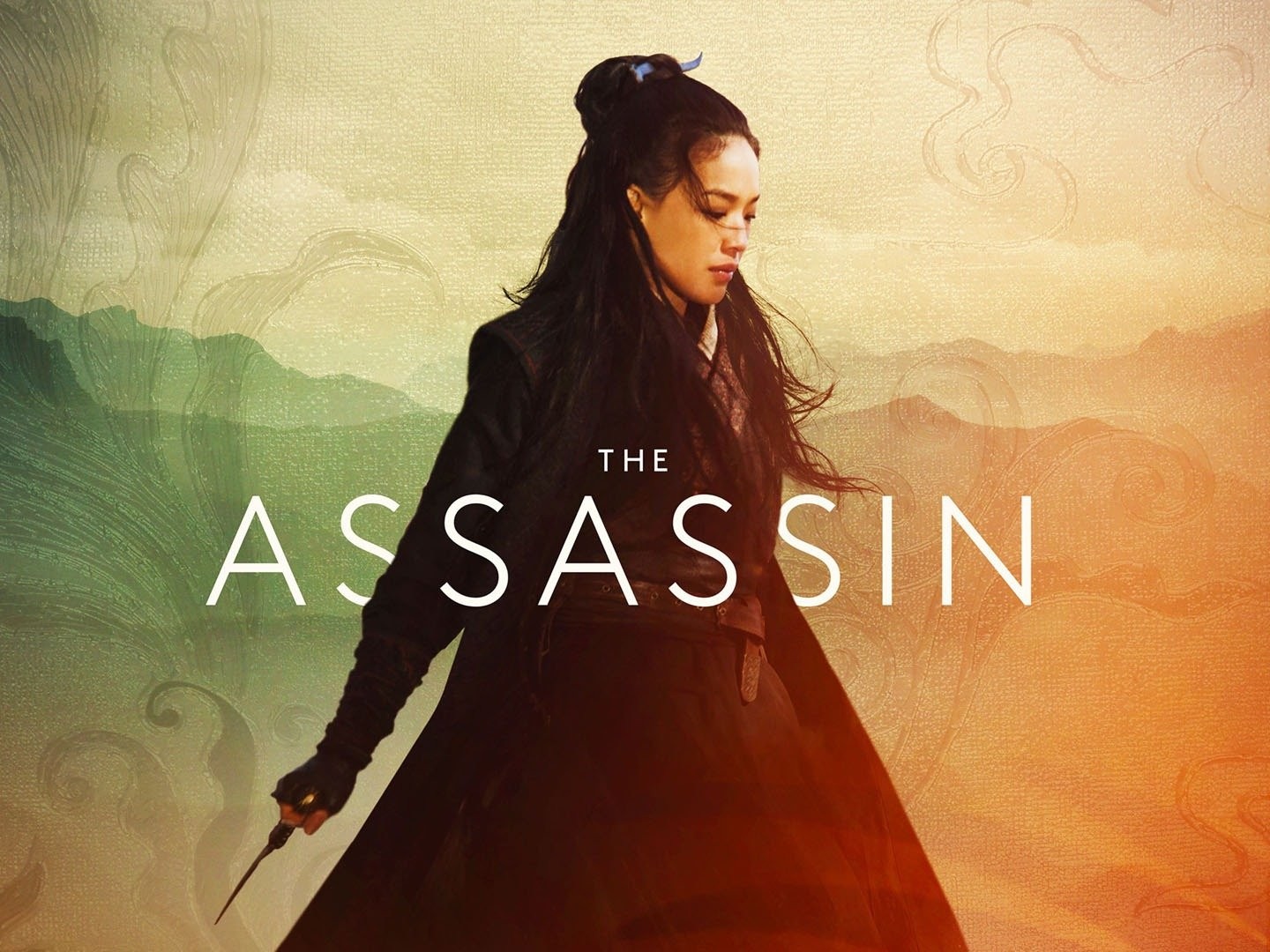 The on sale assassin 2015