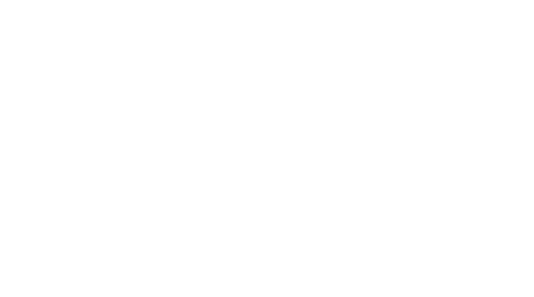 Carter High Logo