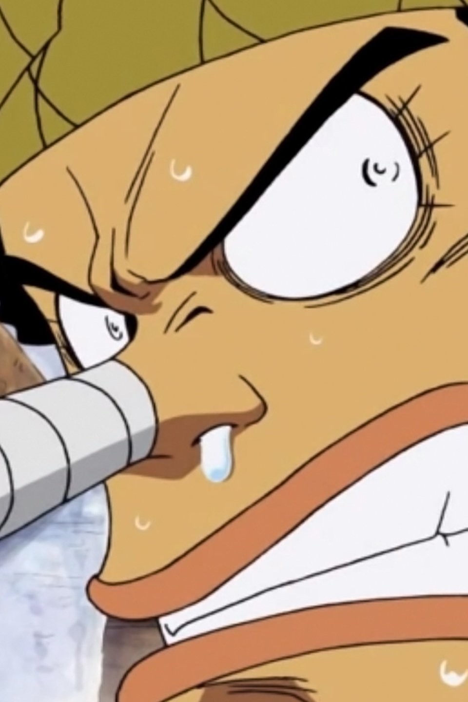 One Piece: Season 19, Episode 19 - Rotten Tomatoes