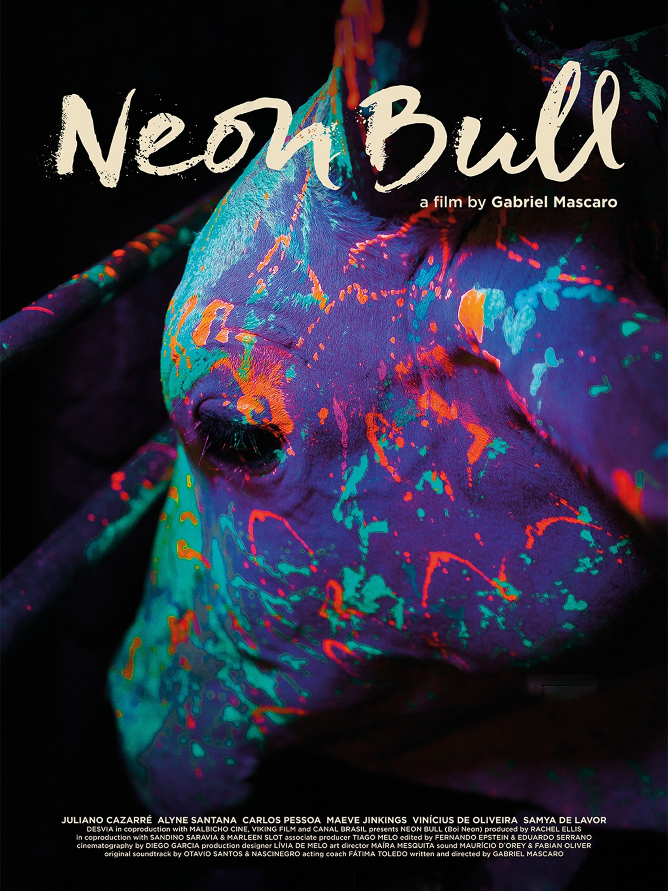 Neon Bull | Rotten Tomatoes