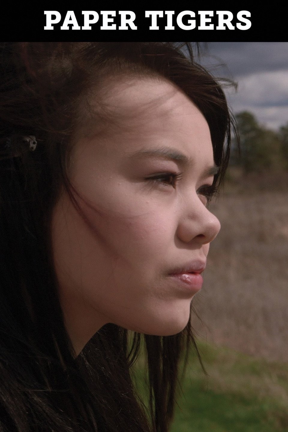 Paper Tigers Rotten Tomatoes