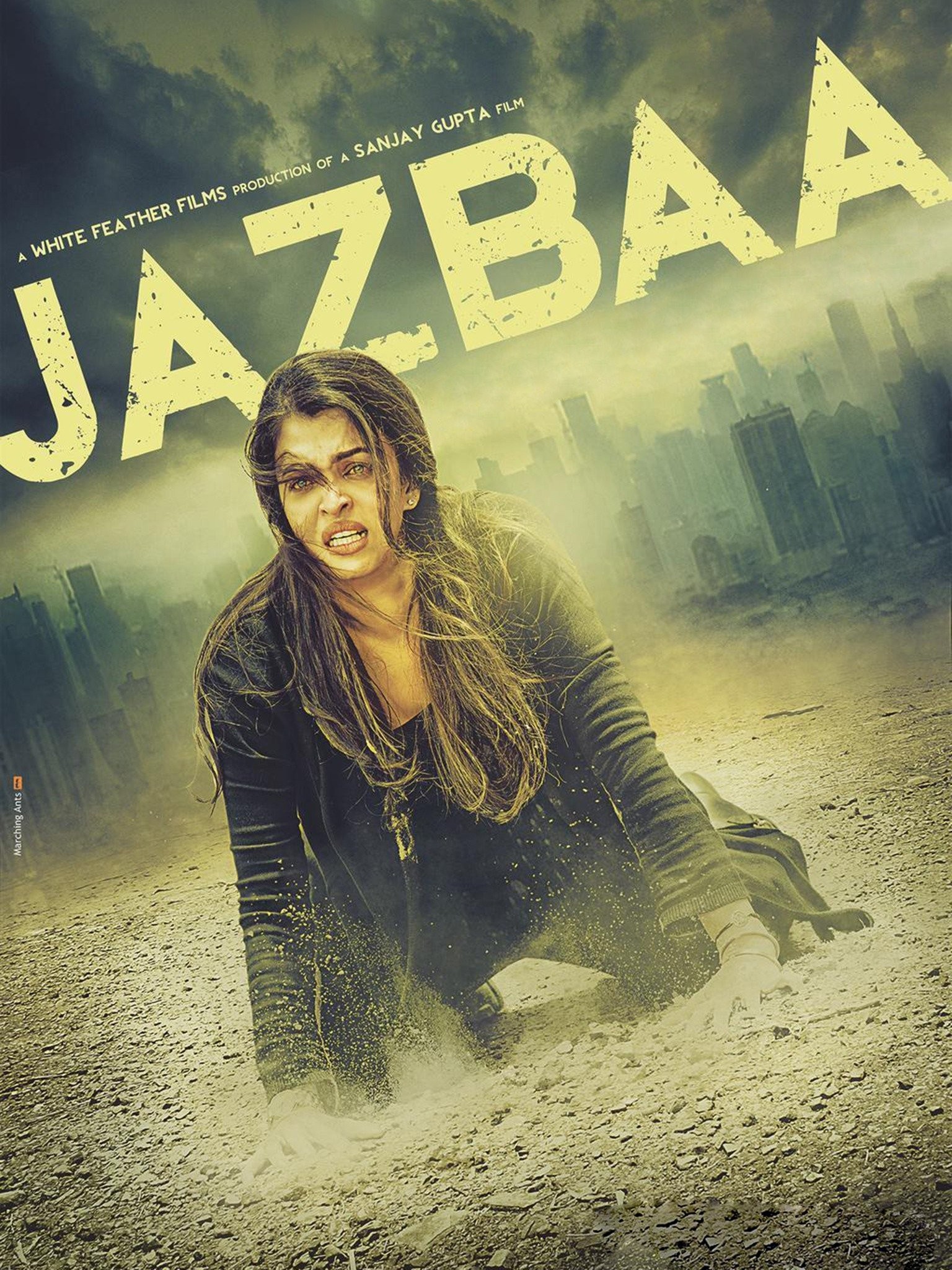 Reviews: Jazbaa - IMDb