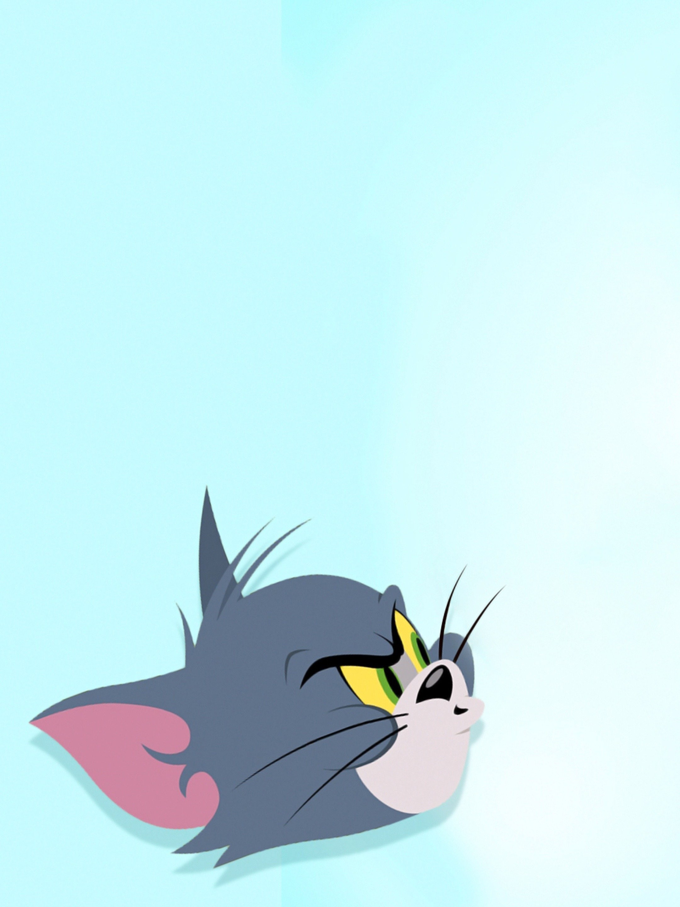 The Tom and Jerry Show - Rotten Tomatoes