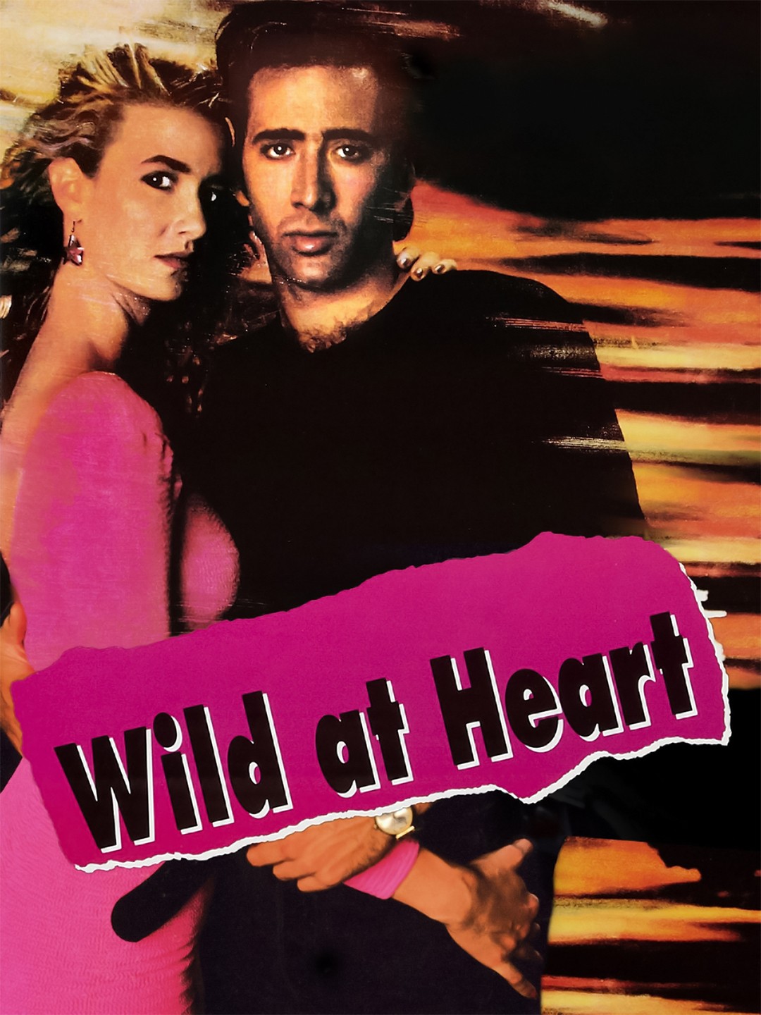 Wild at Heart Rotten Tomatoes