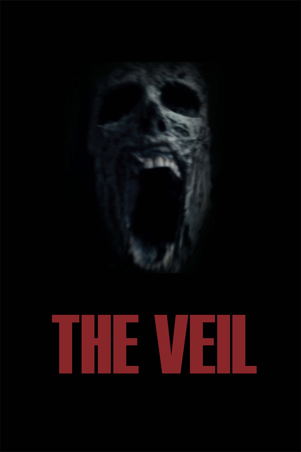 The Veil (2016) - IMDb