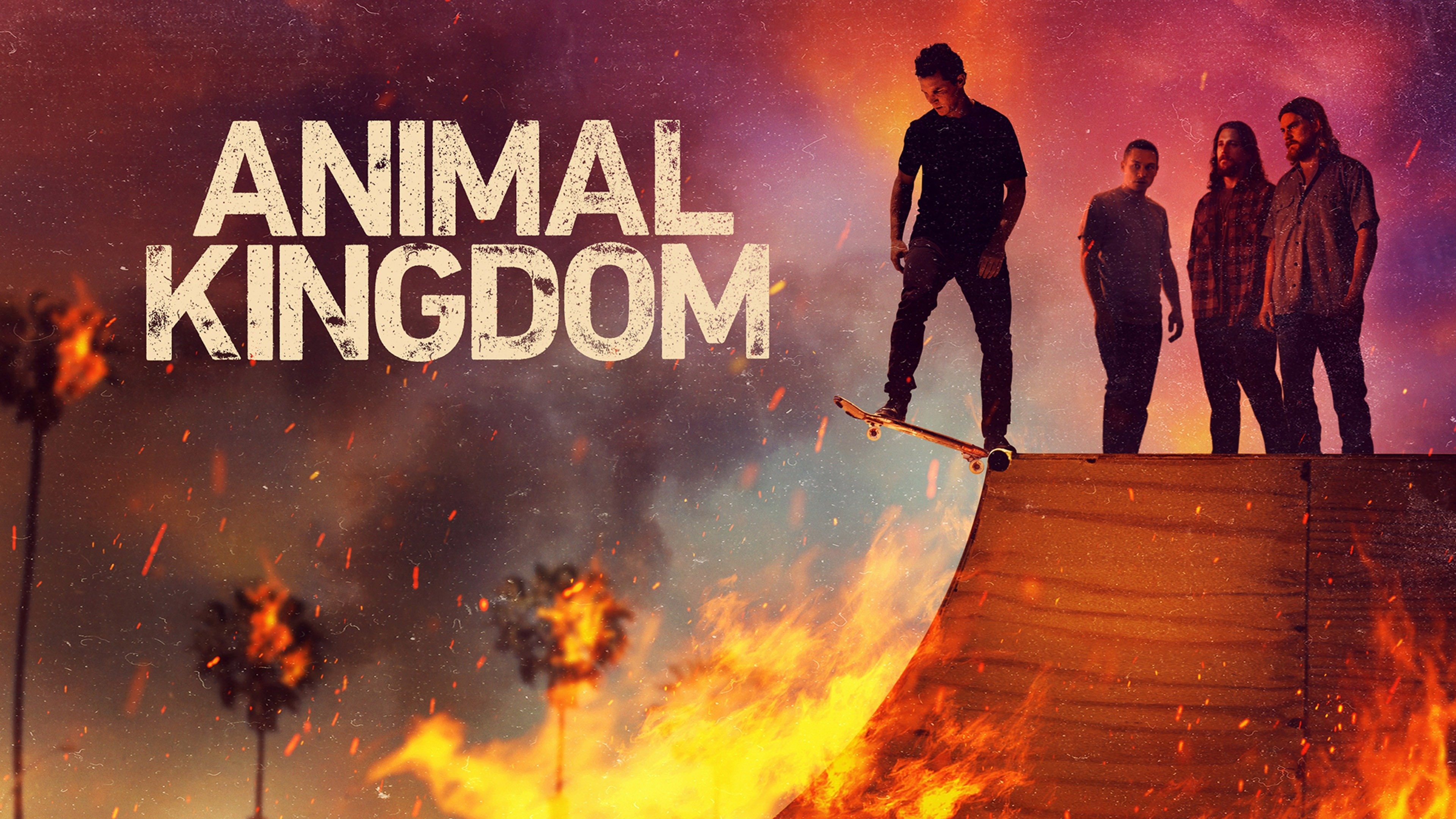 Animal Kingdom: Let's Go Ape - Rotten Tomatoes