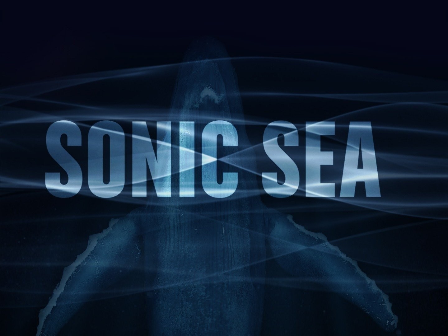 Sonic - O Filme - Em breve - My Family Cinema