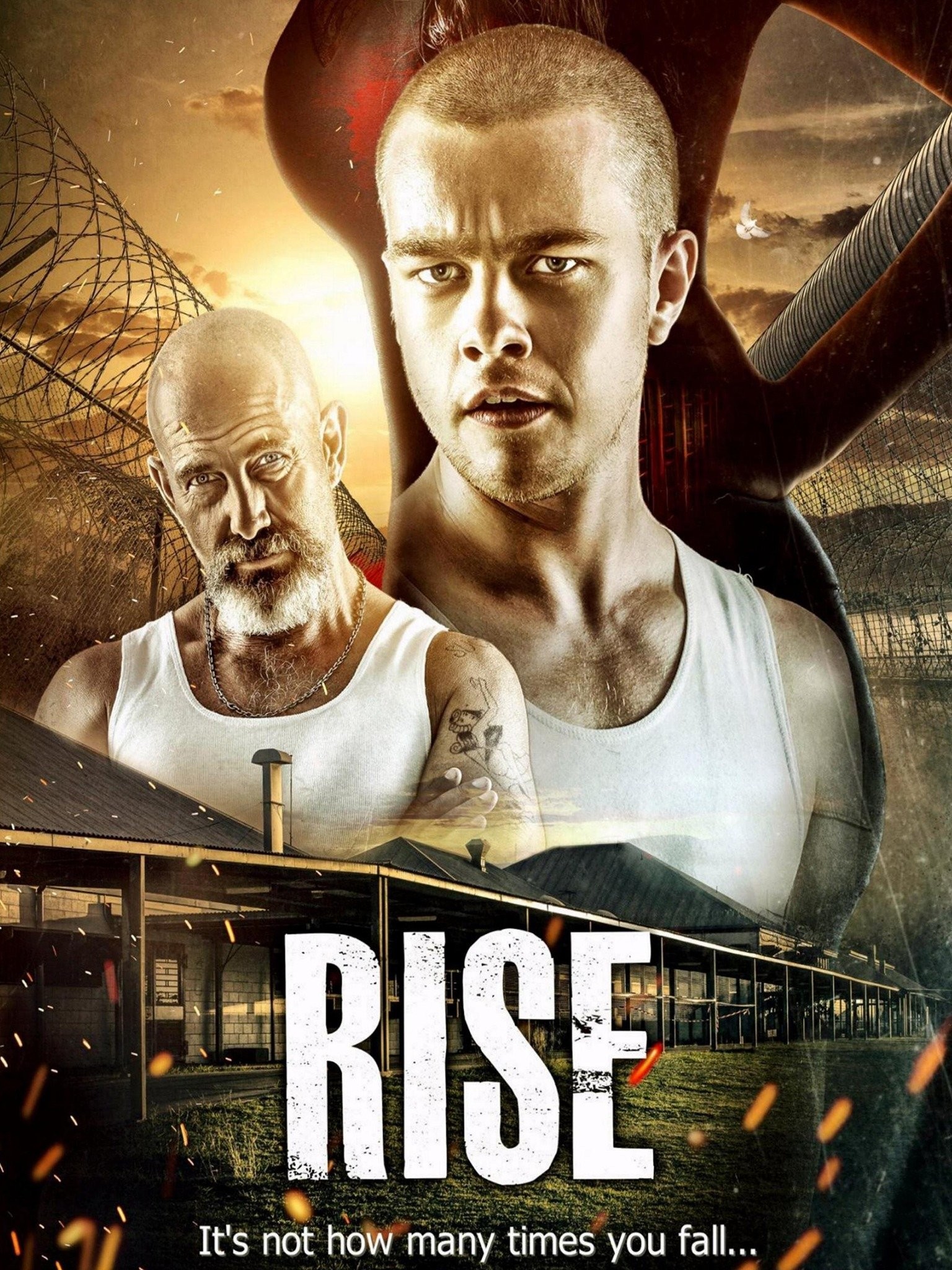 All Rise - Rotten Tomatoes