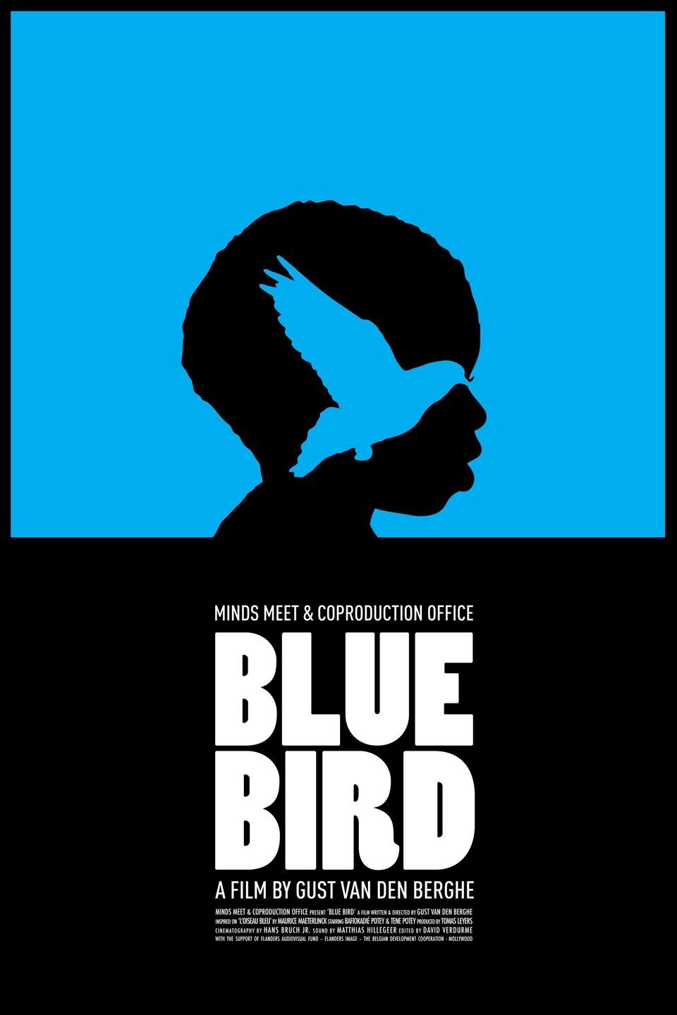 Blue Bird | Rotten Tomatoes