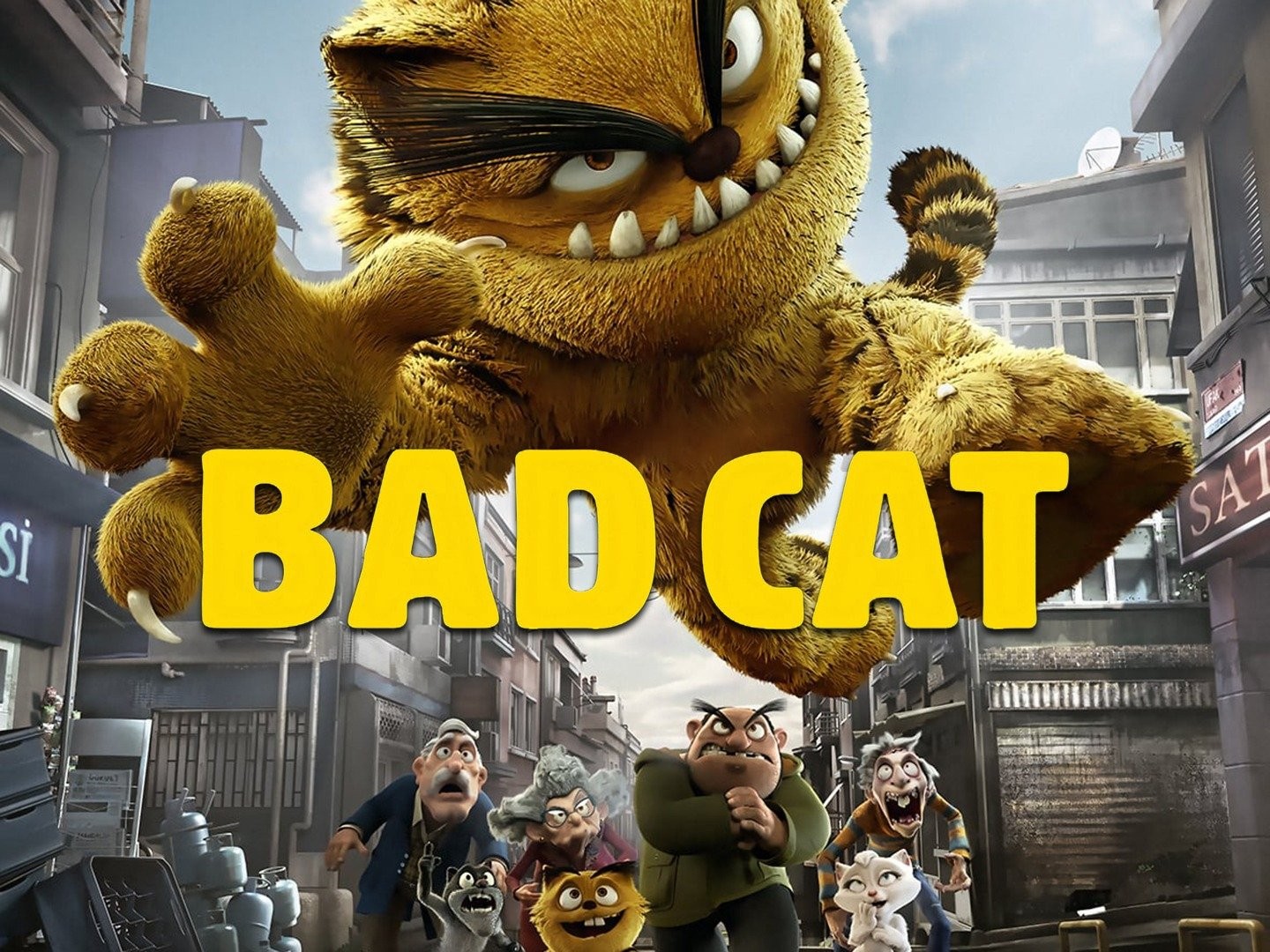 Bad cat