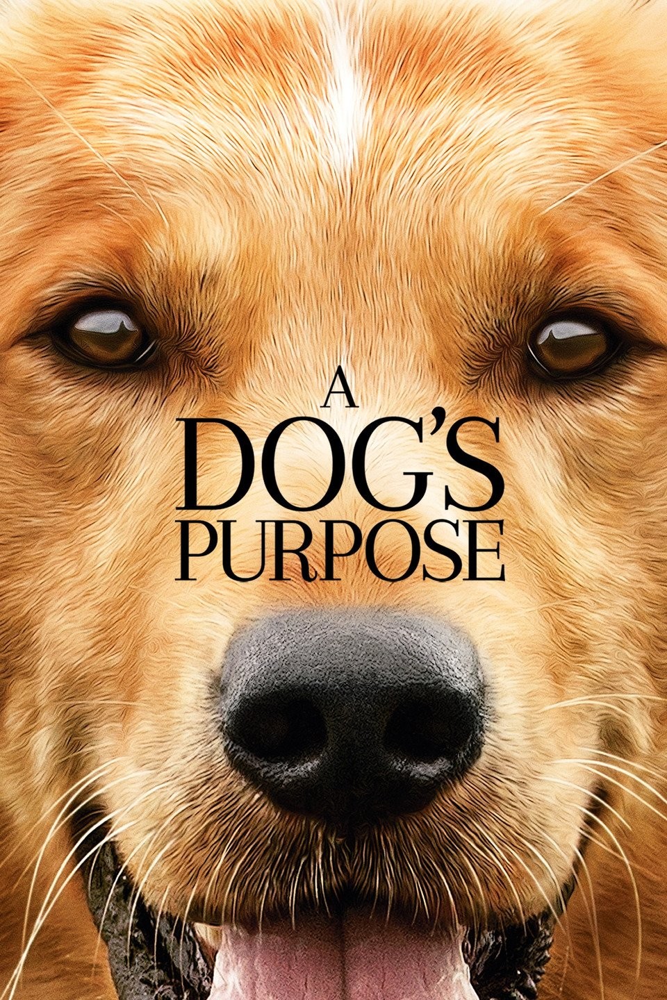 960px x 1440px - A Dog's Purpose - Rotten Tomatoes