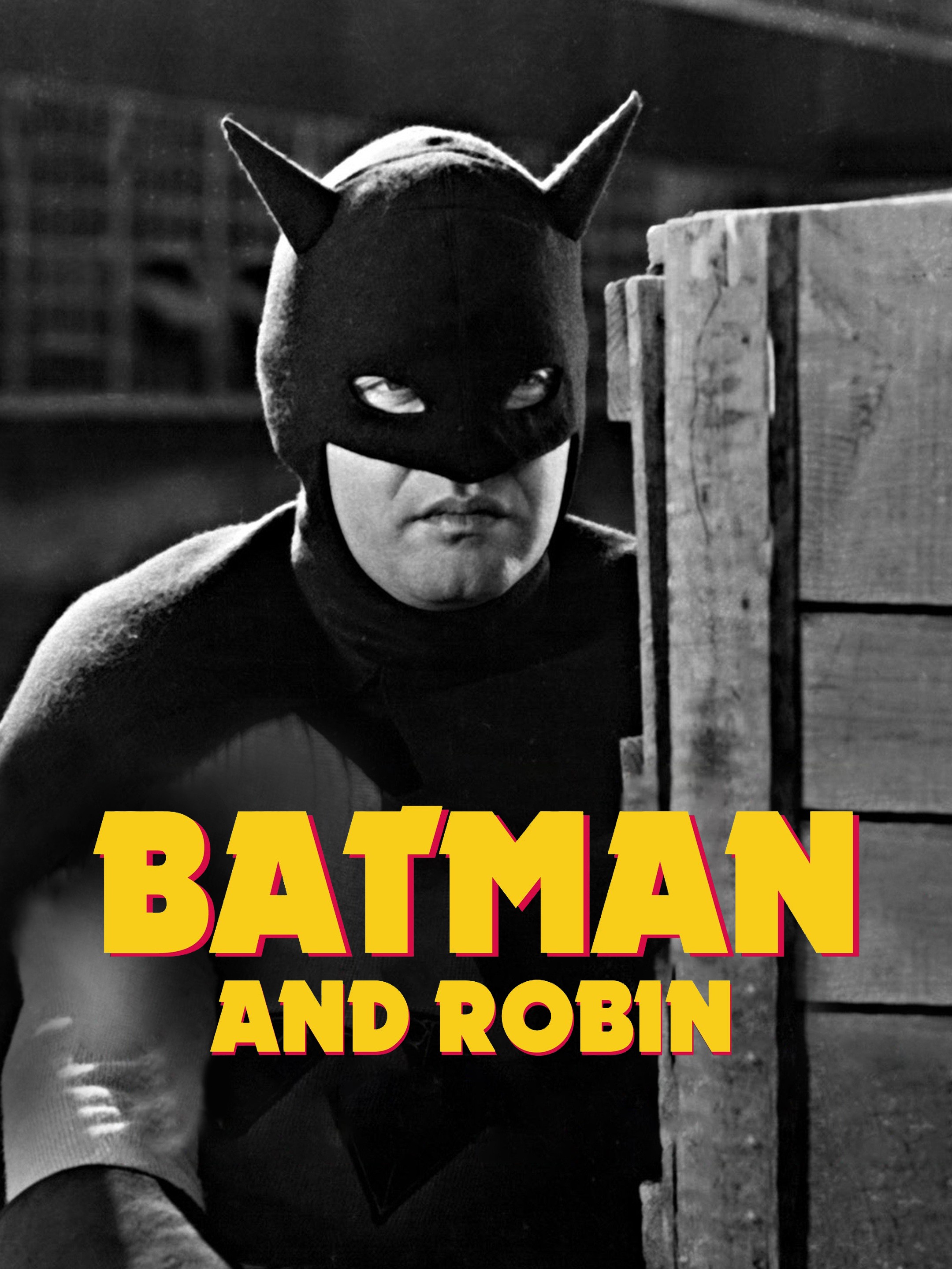 Batman and Robin: Season 1 | Rotten Tomatoes